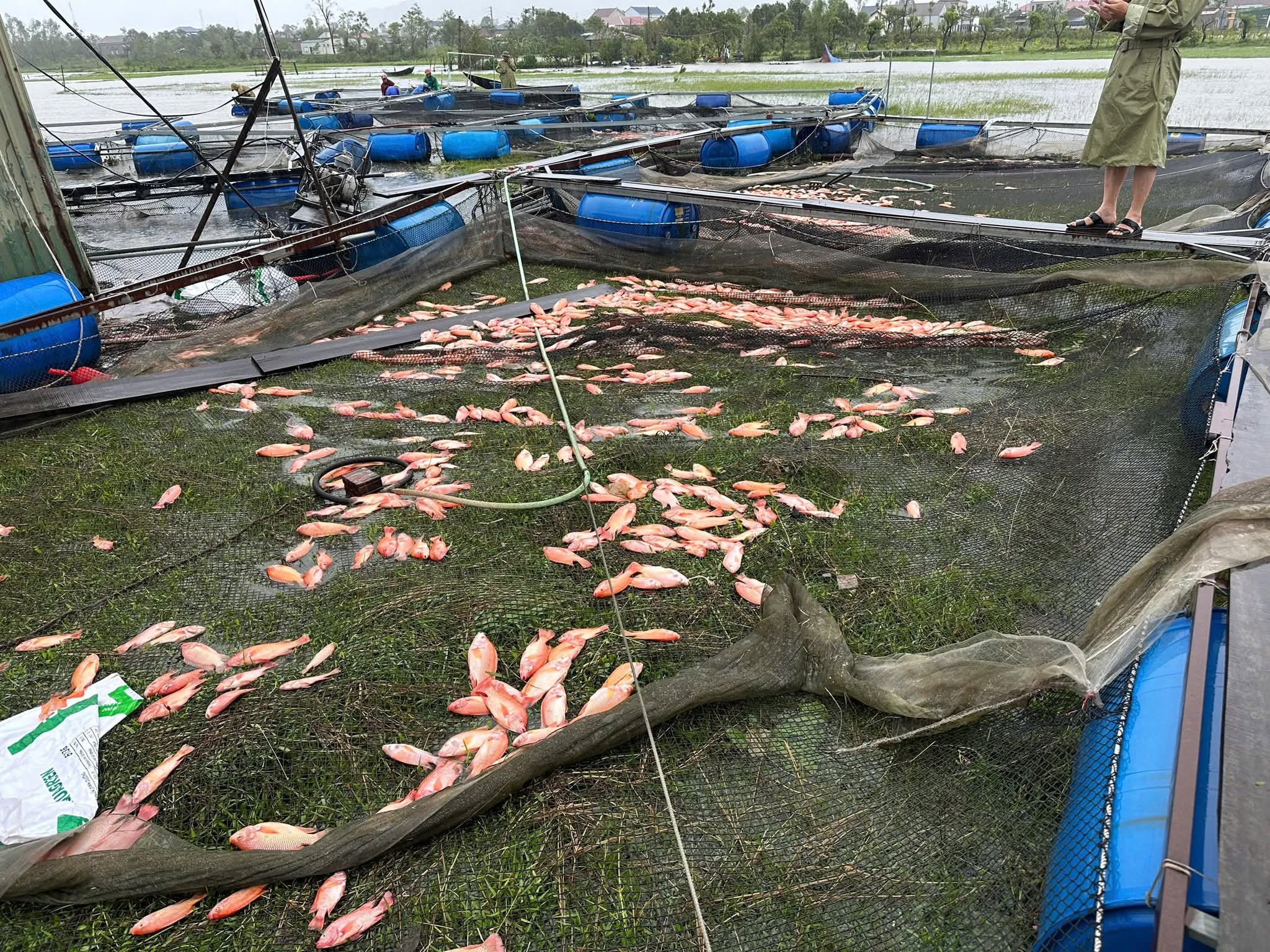 Bão số 10: Kho than Nhà máy Nhiệt điện Vũng Áng 2 đổ sập, nhiều nhà dân tốc mái - Ảnh 2.