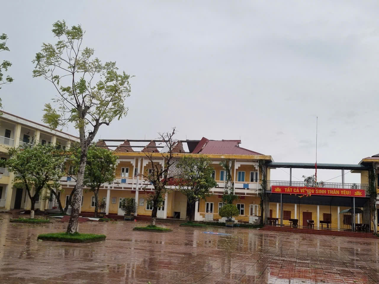  - Ảnh 7.