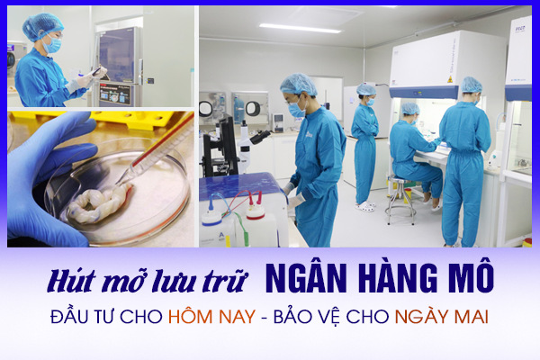 Hút mỡ lưu trữ ngân hàng mô -…