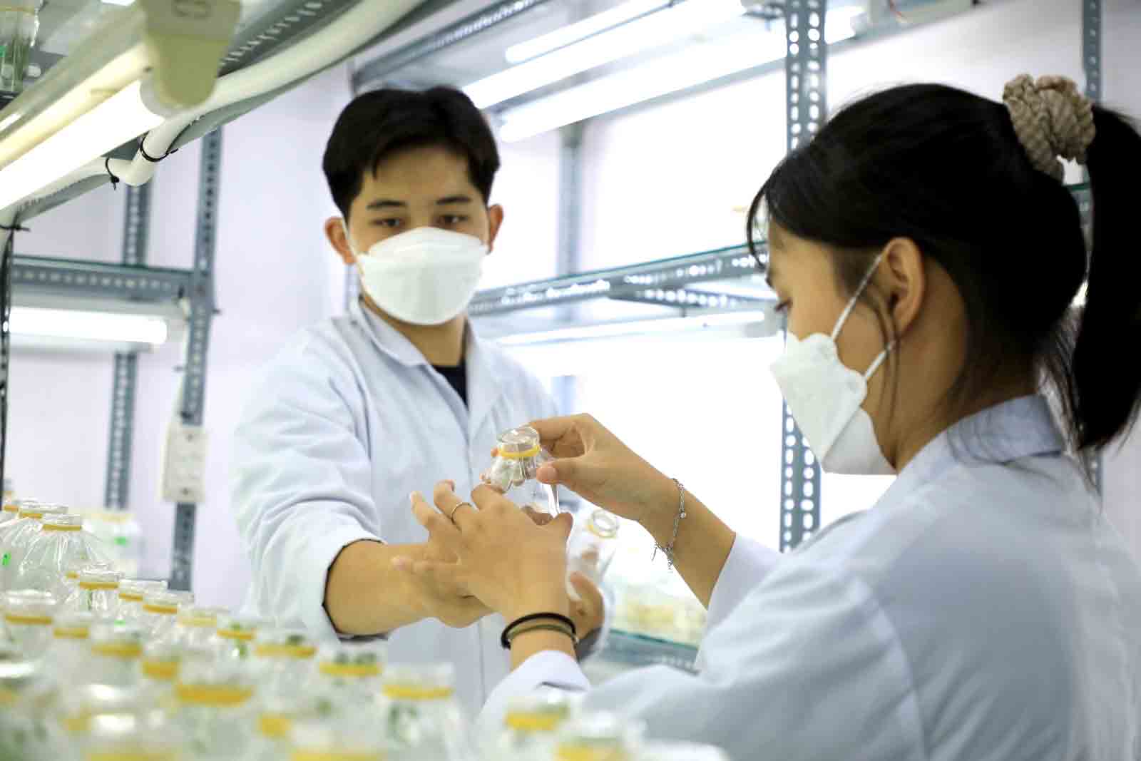 ຫັນຈາກ “ປະລິມານ” ໄປເປັນ “ຄຸນນະພາບ” ໃນການຄົ້ນຄ້ວາວິທະຍາສາດຫວຽດນາມ - ຮູບ 1. Chuyển đổi từ “ lượng ” sang “ chất ” trong nghiên cứu khoa học Việt Nam - Ảnh 1.