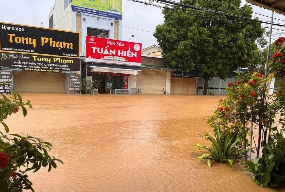  - Ảnh 5.