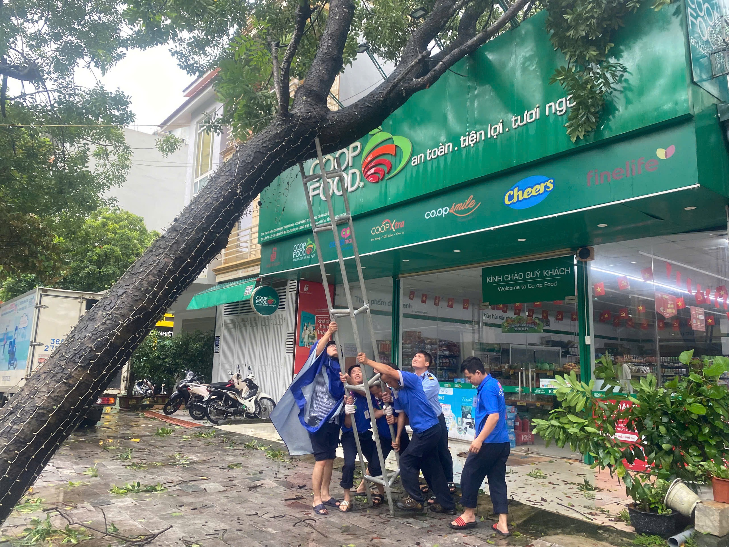 Saigon Co.op giảm giá thực phẩm đến 33% để san sẻ cùng người dân trong bão số 10- Ảnh 6.