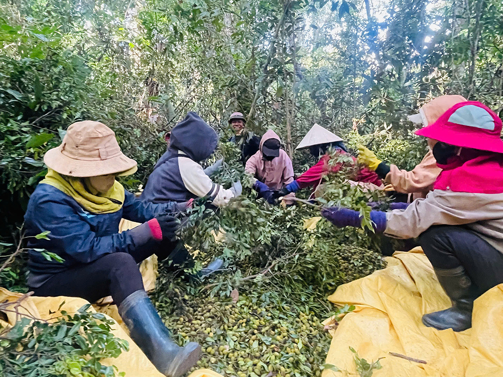 Thung sâu mùa xoay chín - Ảnh 4.