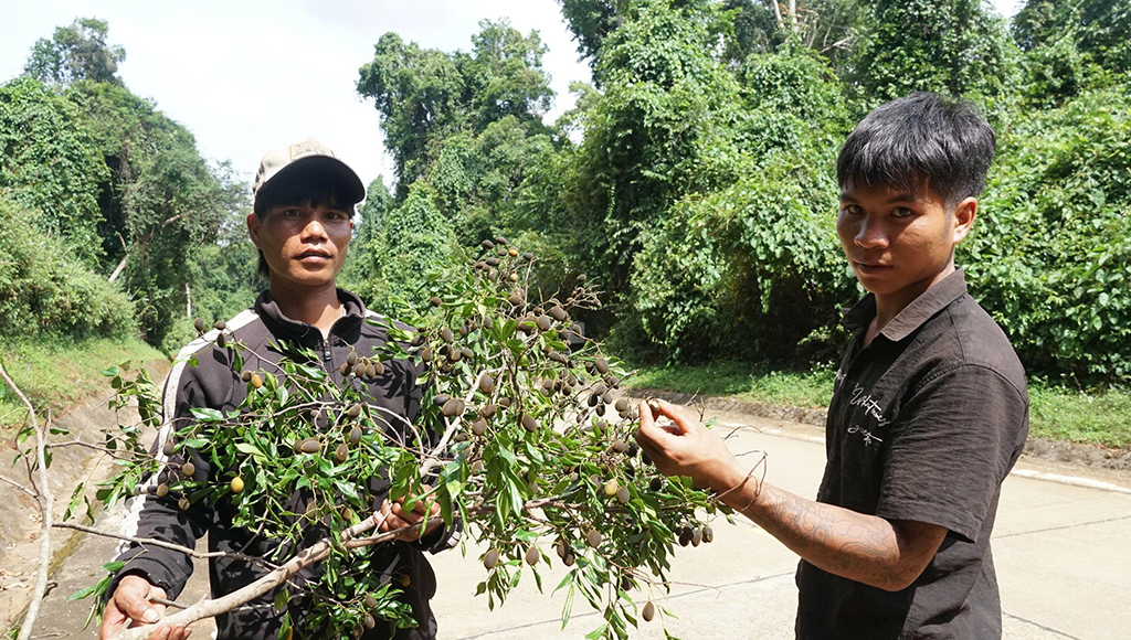 Thung sâu mùa xoay chín - Ảnh 5.