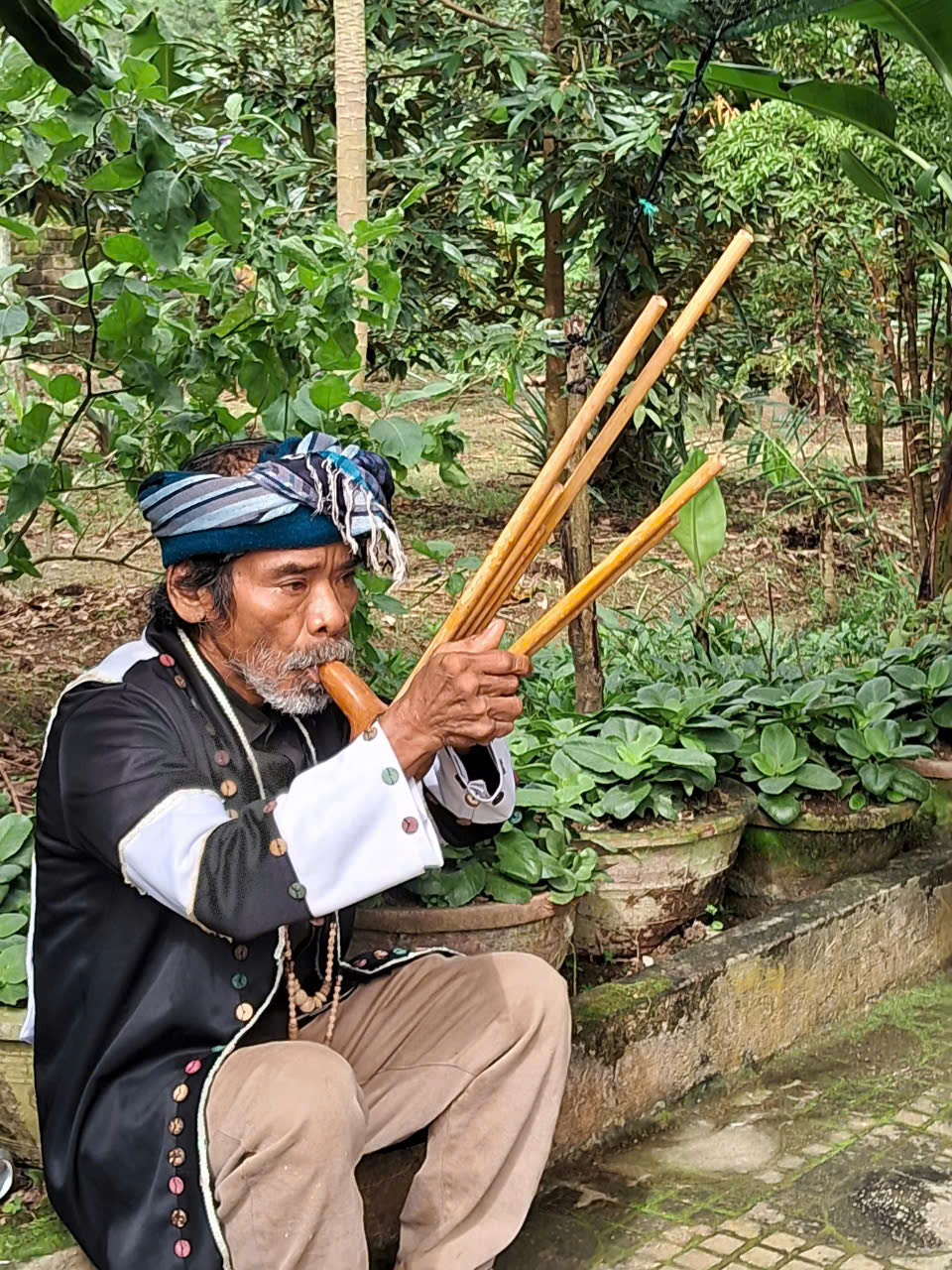 'Cây Tô Hạp' gieo mầm sử thi Raglai miền đàn đá- Ảnh 1. 'Cây Tô Hạp' gieo mầm sử thi Raglai miền đàn đá- Ảnh 1.