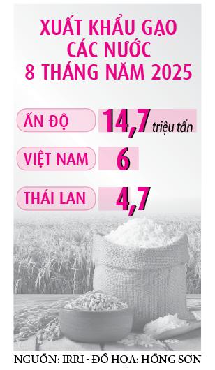 Doanh nghiệp than kẹt vốn mua dự trữ gạo- Ảnh 2.