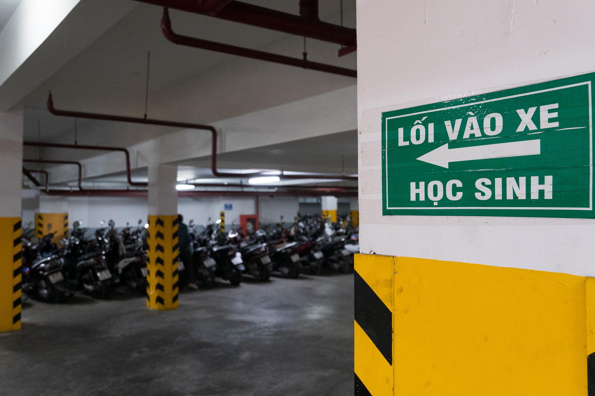 Trường THPT chuyên Lê Hồng Phong tp . Hcm: Nơi ươm mầm tài năng và tri thức - Ảnh 18. Trường THPT chuyên Lê Hồng Phong tp . Hcm: Nơi ươm mầm tài năng và tri thức - Ảnh 18.