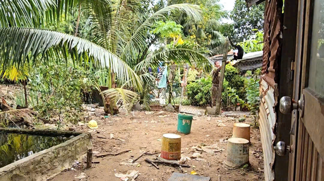 Kiểm lâm TP.HCM bắn gây mê vượn leo trèo trong nhà dân ở xã Tân Nhựt- Ảnh 2. Kiểm lâm TP.HCM bắn gây mê vượn leo trèo trong nhà dân ở xã Tân Nhựt- Ảnh 2.