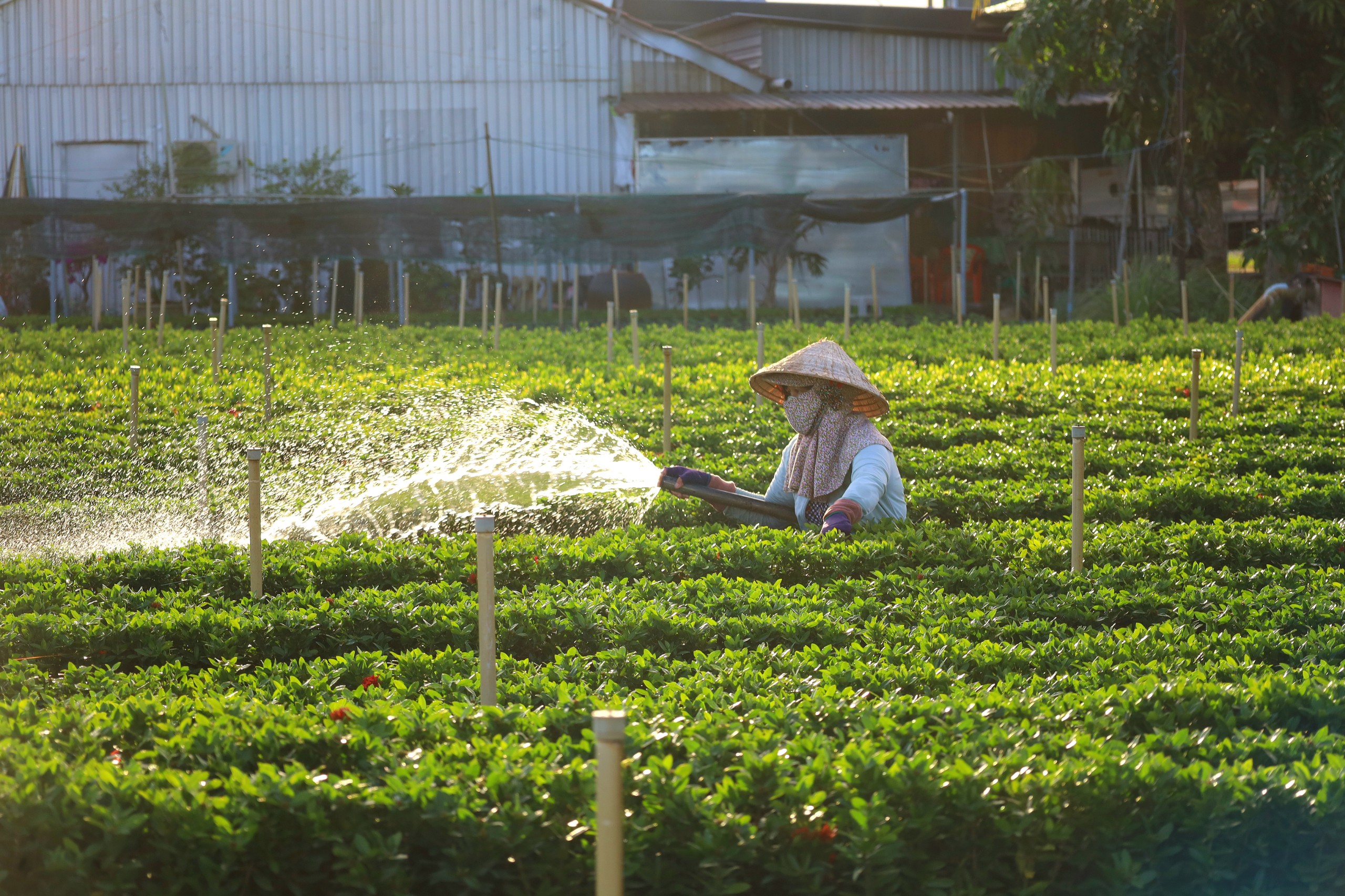 Đồng Tháp bứt phá để trở thành điểm sáng về phát triển kinh tế- Ảnh 5.