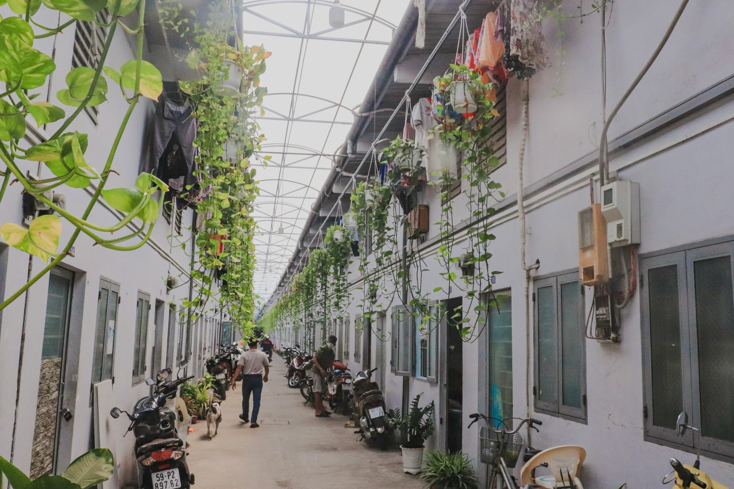 Những chủ trọ nổi tiếng ở TP.HCM tiếp tục hoạt động 'nghĩa tình cũ' ở phường mới - Ảnh 5.