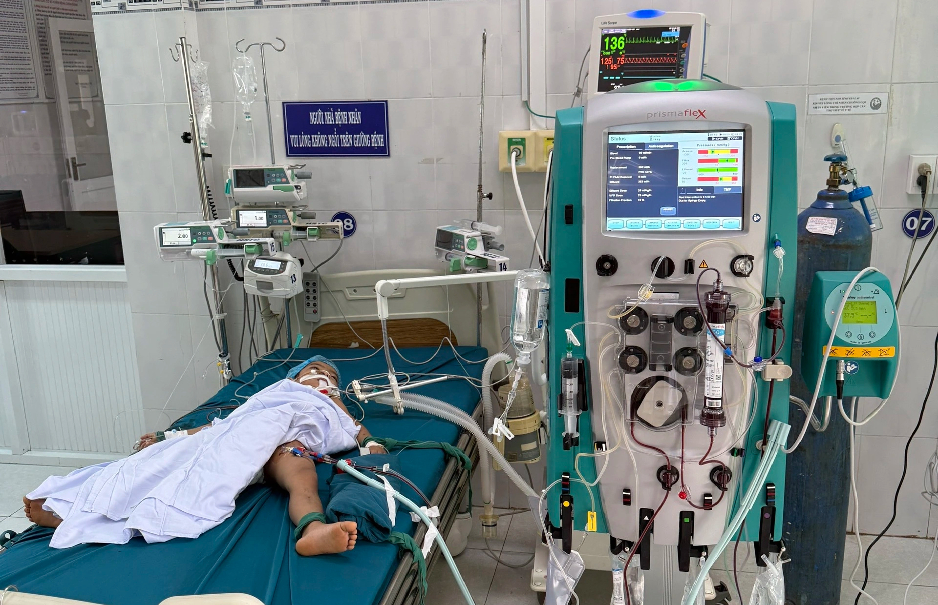 3 trẻ bị ong vò vẽ đốt trong cơ sở nuôi mồ côi, 1 em tử vong - Ảnh 1.