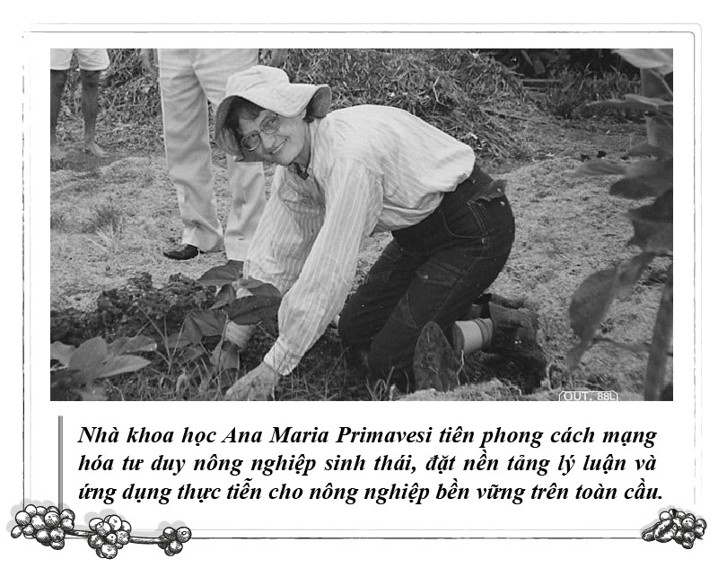 - Foto 3.  - Ảnh 3.