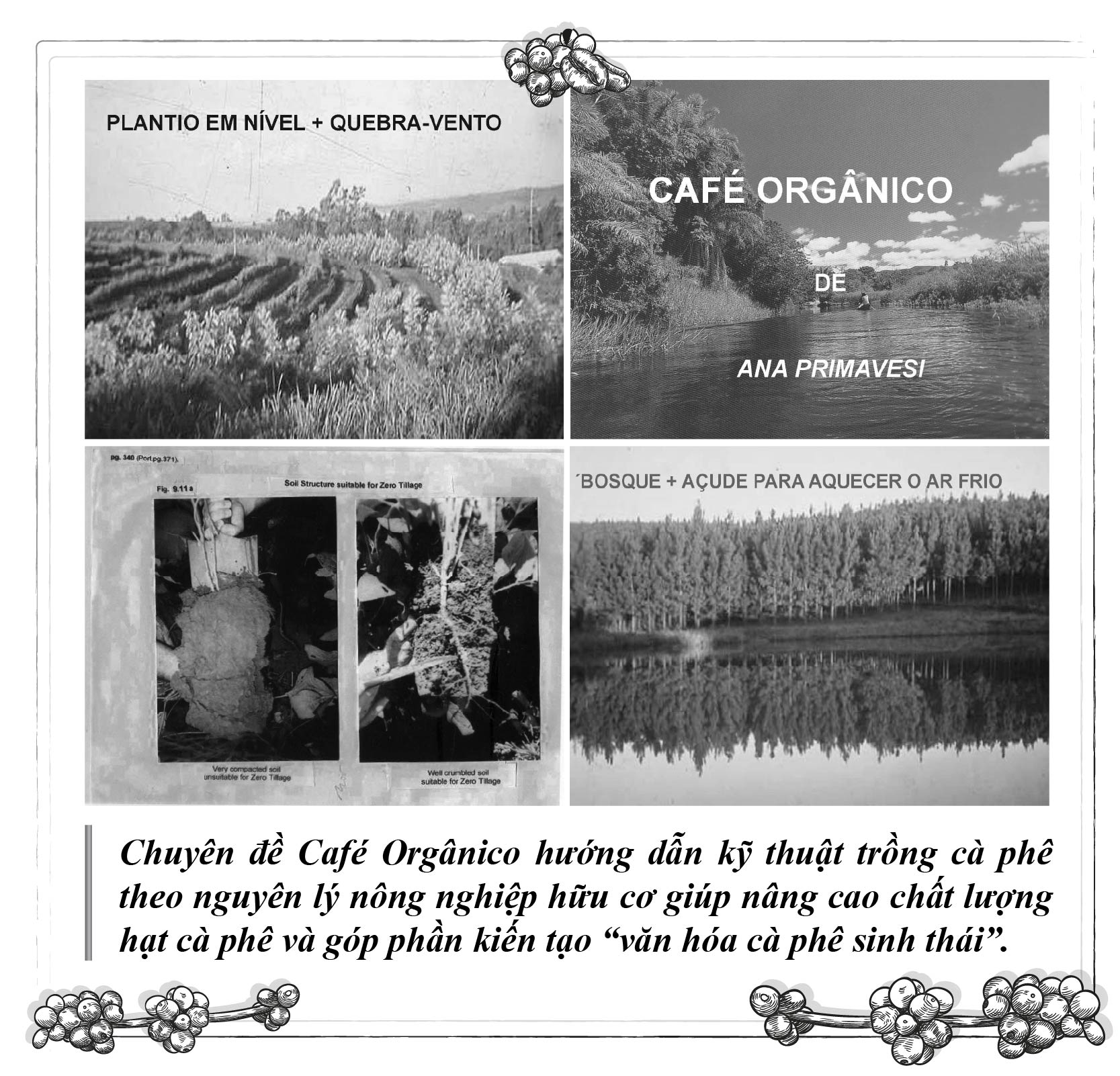 - Foto 5.  - Ảnh 5.
