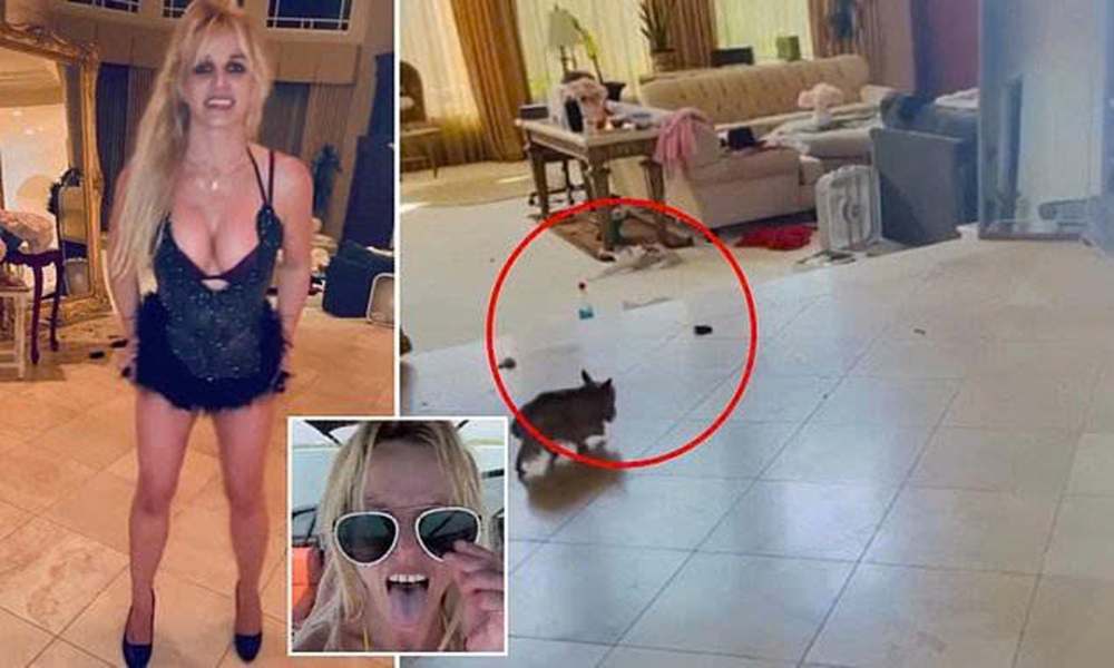 Britney Spears khiến khán giả lo ngại khi sống trong biệt thự toàn rác - Ảnh 1.
