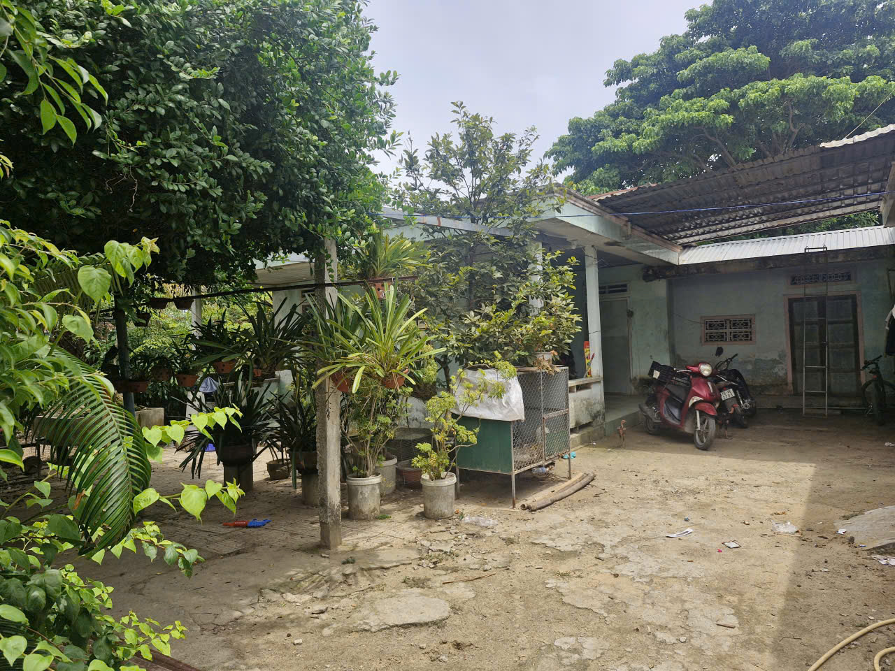 Đối thoại với chính quyền xã Vạn Tường: Người dân chịu bàn giao mặt bằng làm đường - Ảnh 4.