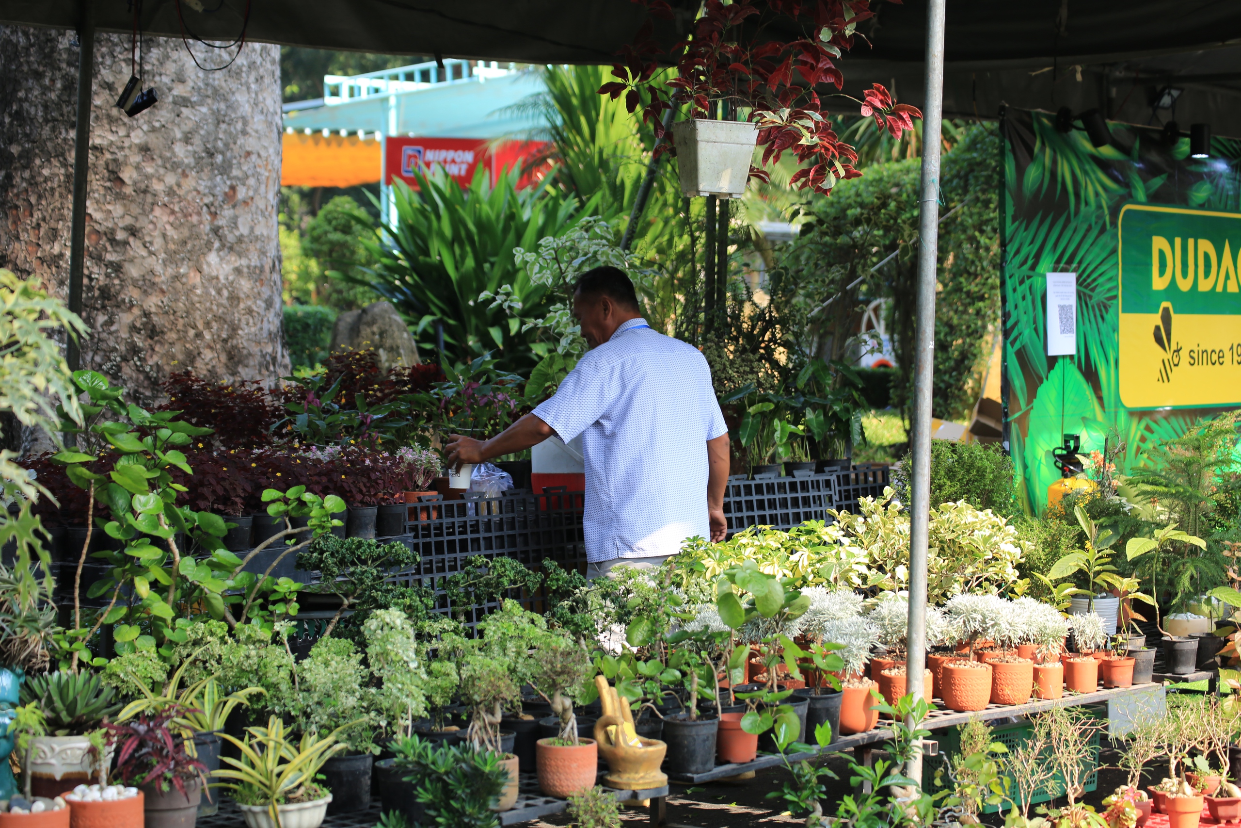 Triển lãm kiểng lá thu hút đông đảo khách tham quan tại Thảo Cầm Viên Sài Gòn - Ảnh 2.
