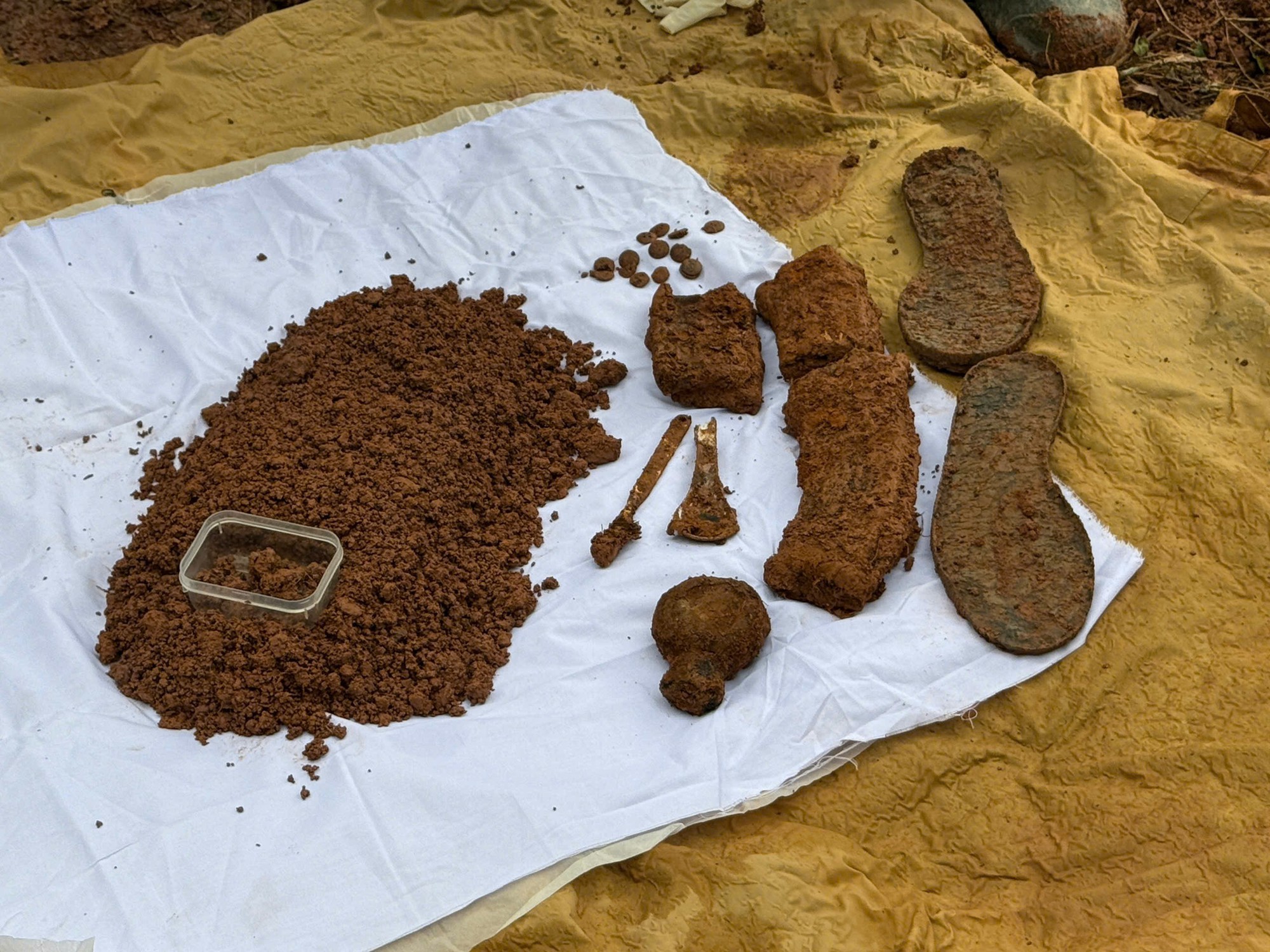 Quảng Trị: Quy tập 2 hài cốt liệt sĩ trong rừng tràm của người dân- Ảnh 1.