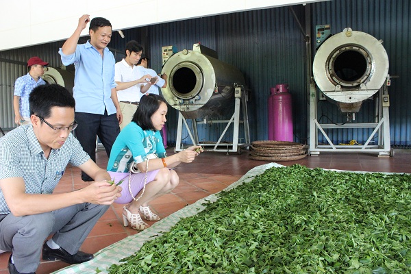 Ng&agrave;nh thuế lưu &yacute; quy định mới về thuế VAT trong kinh tế 2025 - Ảnh 1.