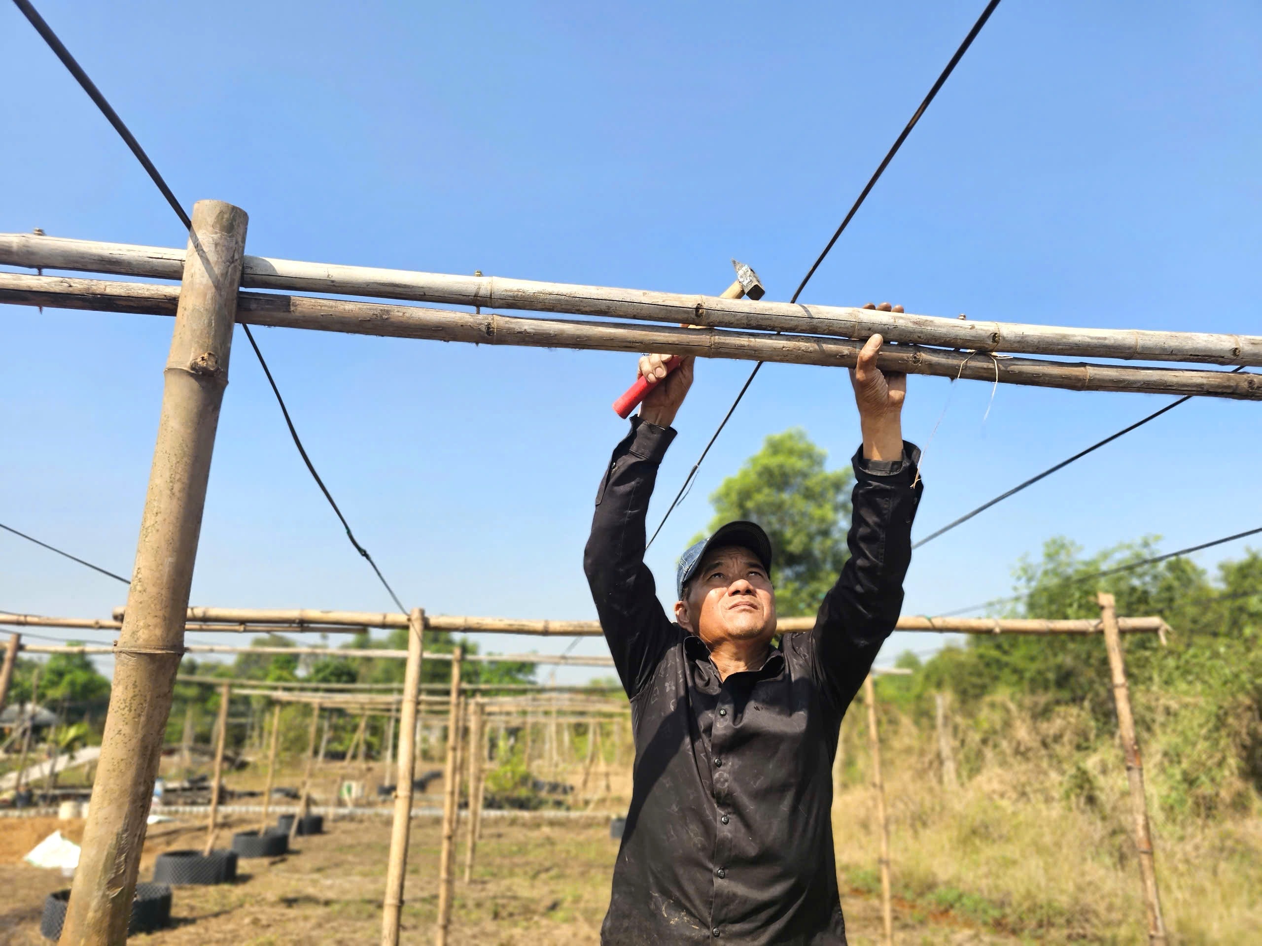 Vườn hoa xu&acirc;n ở TP.HCM chuẩn bị bung nở, hứa hẹn điểm check-in hot Tết 2026- Ảnh 3.