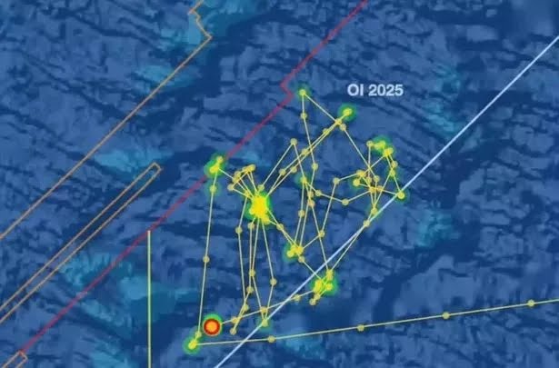 Phát hiện 'bất thường' khi tìm kiếm máy bay mất tích MH370- Ảnh 2.