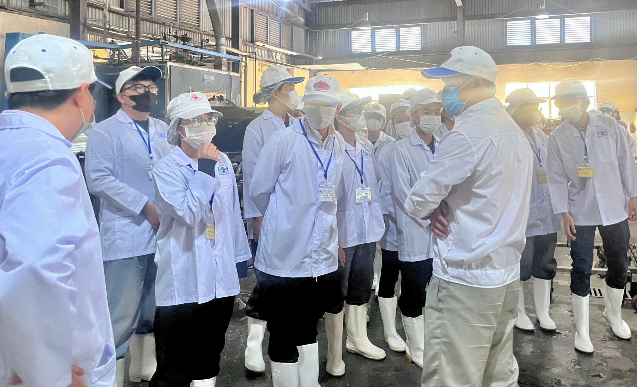 Công ty CP Đồ hộp Hạ Long xin lỗi người tiêu dùng- Ảnh 2.