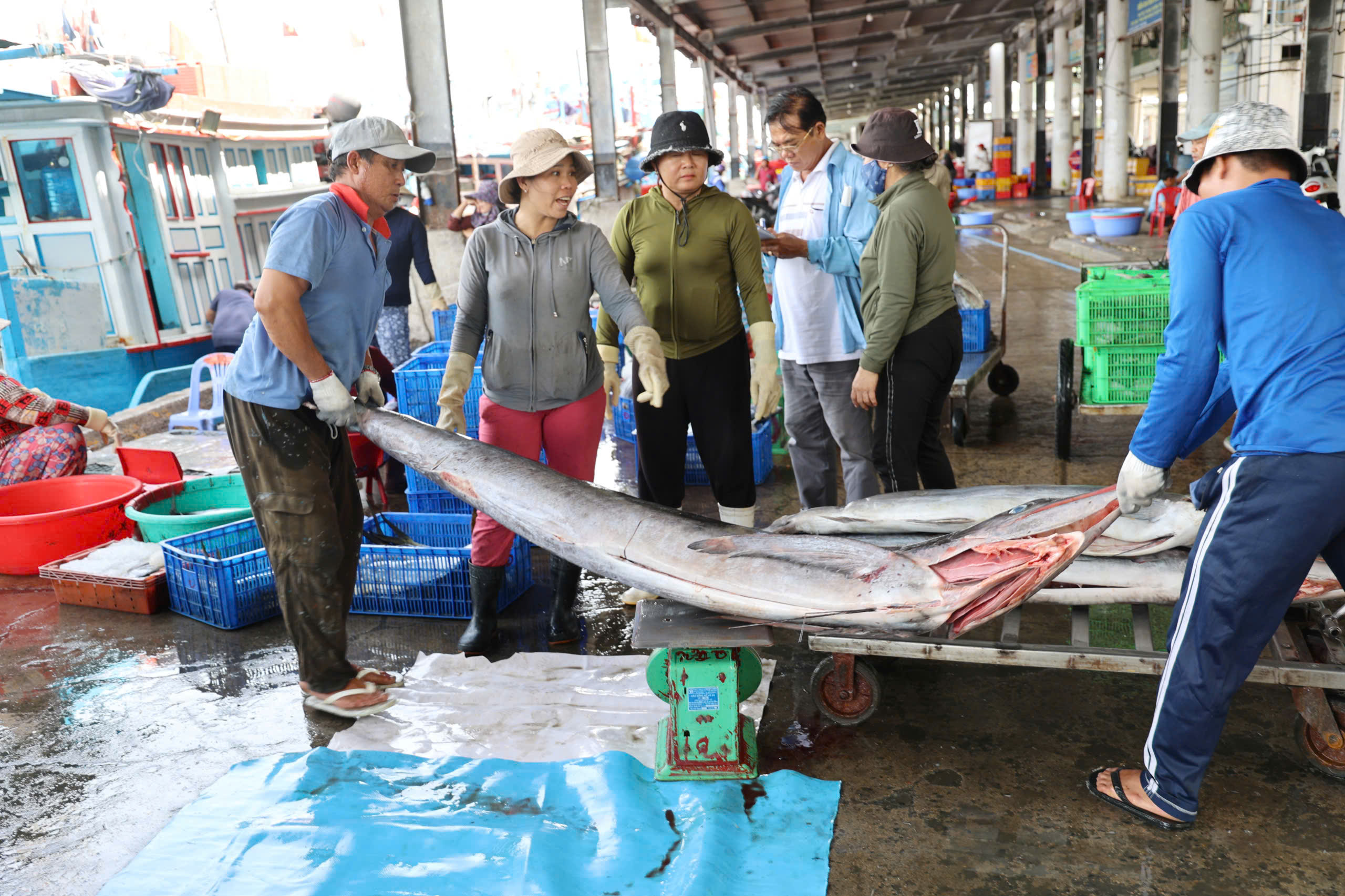 Khánh Hòa đẩy mạnh triển khai hệ thống truy xuất nguồn gốc thủy sản điện tử - Ảnh 1.