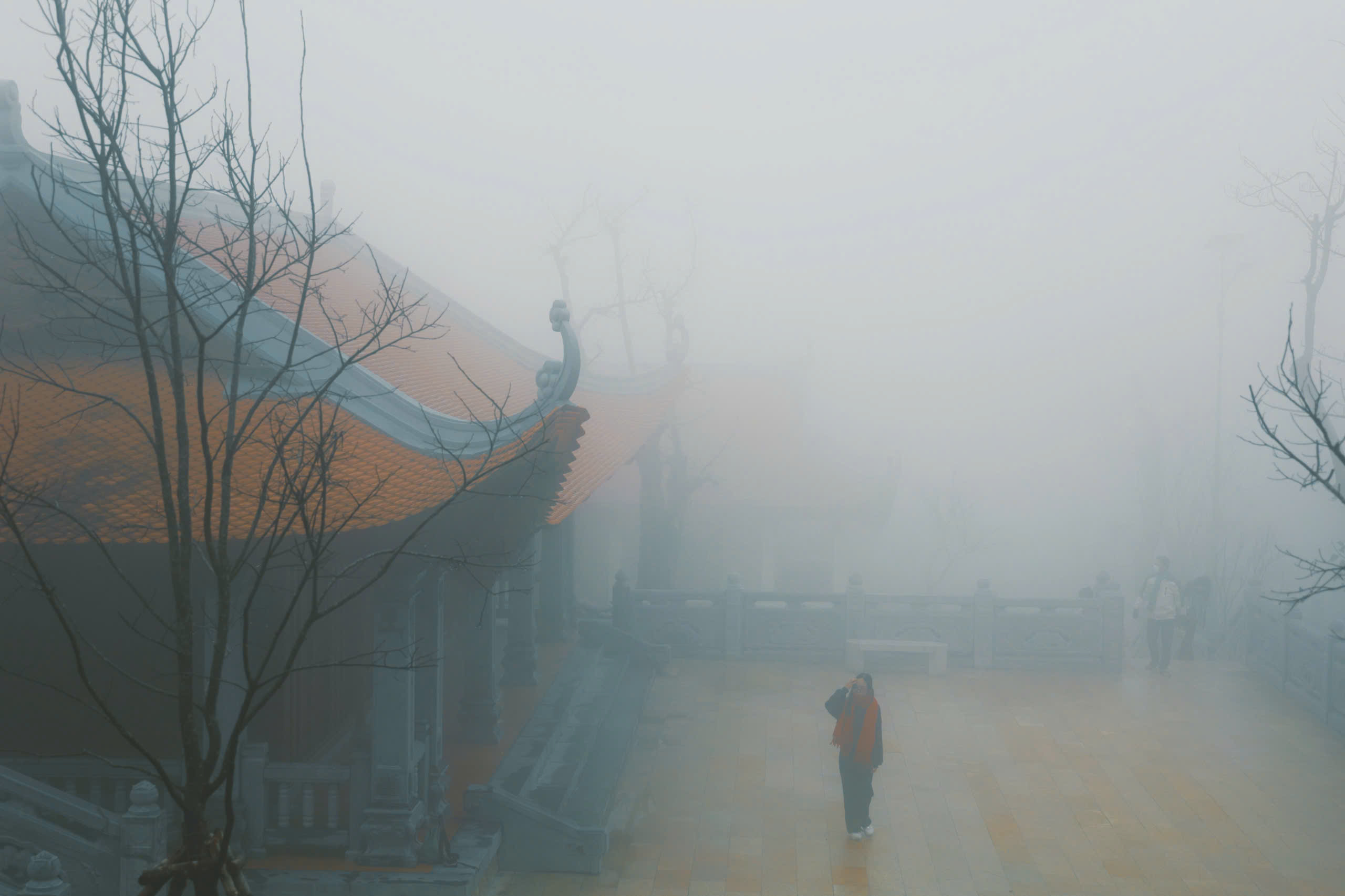 Lạc giữa tầng mây trên đỉnh Hòn Bà - "Đà Lạt của phố biển" Lạc bước trong mây tại Hòn Bà, nơi mệnh danh là 'Đà Lạt của Khánh Hòa' - Ảnh 5.