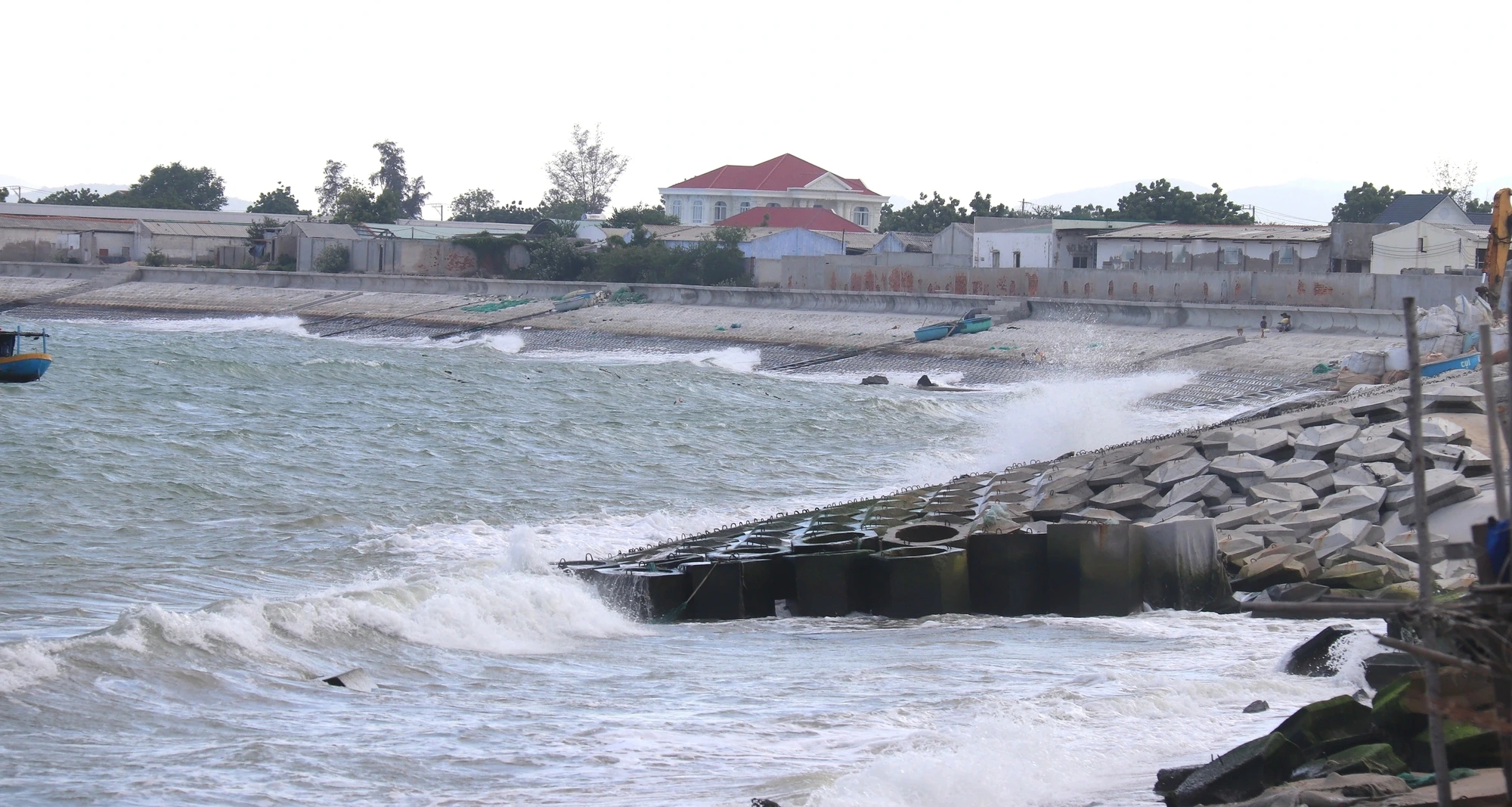 Sở KH-CN Lâm Đồng nói về việc dừng dự án "chỉ dẫn địa lý tôm Bình Thuận"? - Ảnh 2.