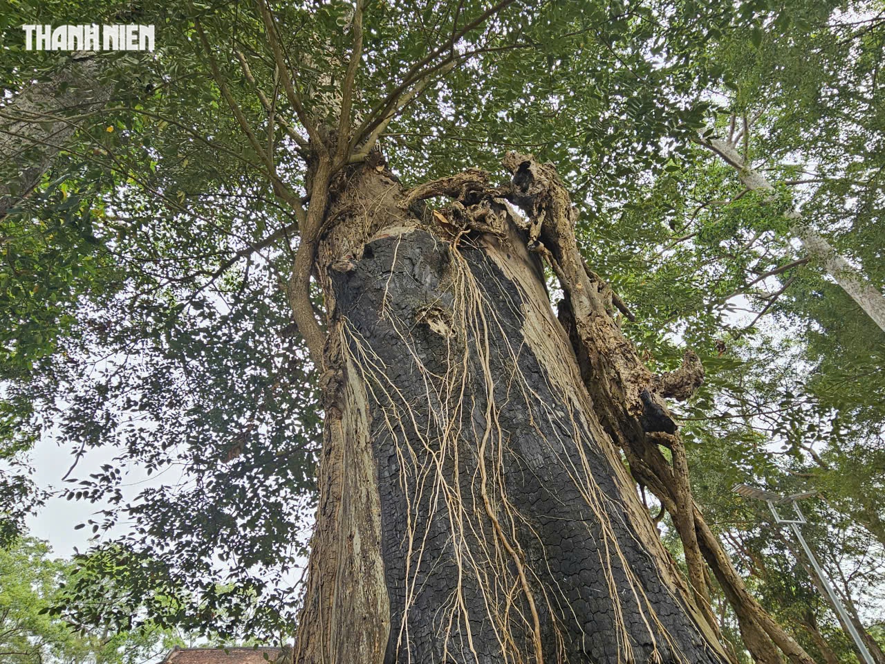 TP.HCM: Đừng bỏ hoang tường thành cổ hàng trăm năm tuổi trong đình thần Long Điền - Ảnh 13.