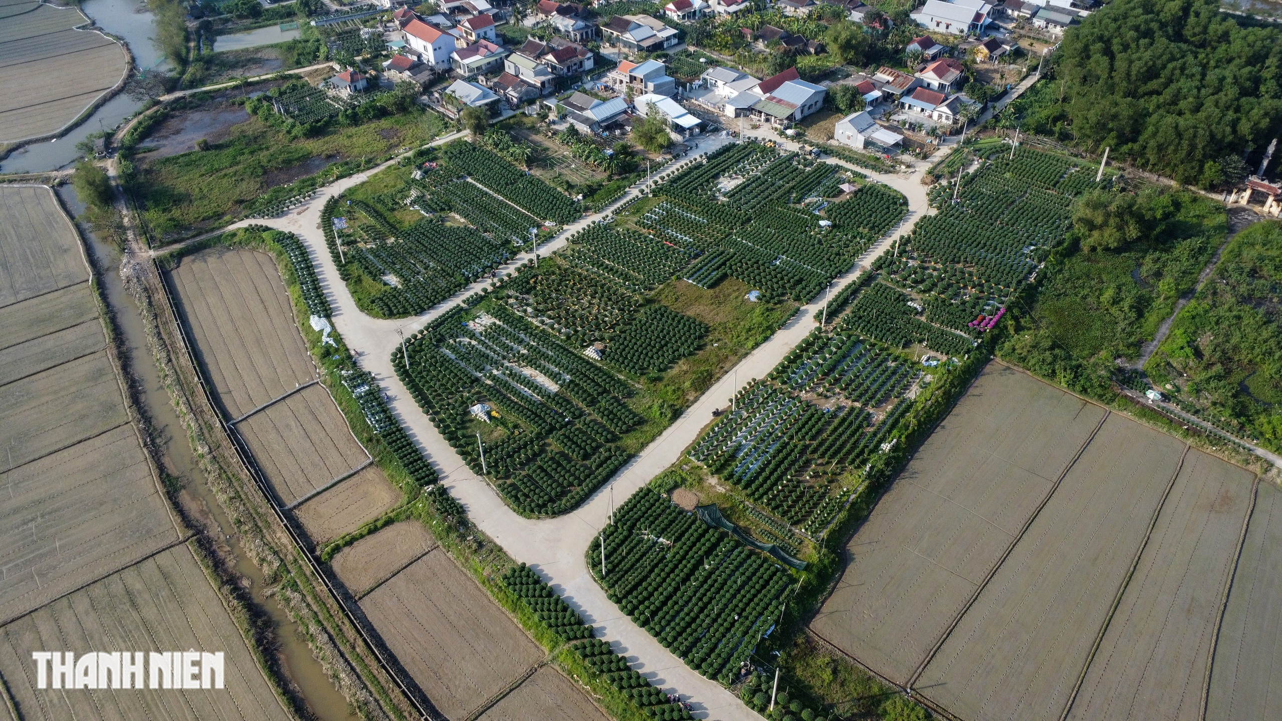 - Ảnh 6. - Ảnh 6.