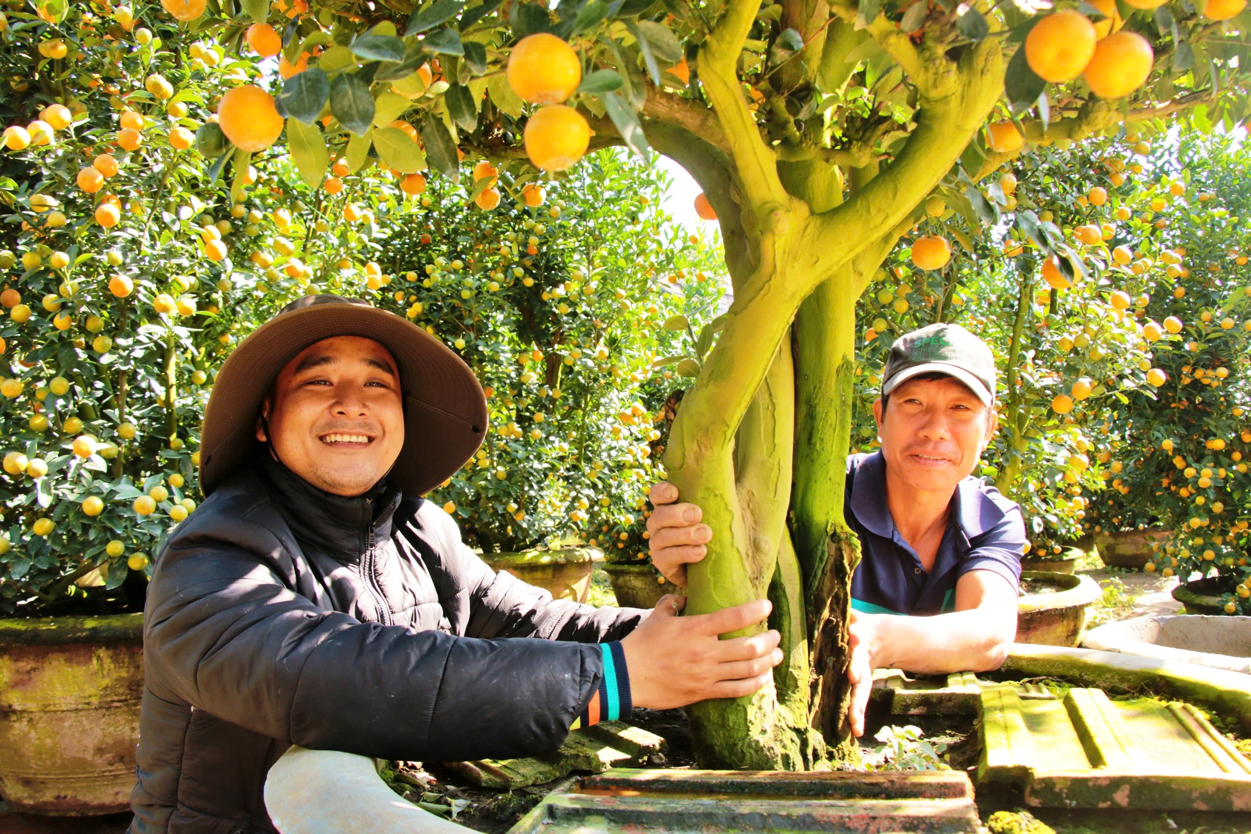 Thủ phủ quất cảnh miền Trung chờ tết: Thời tiết thất thường và nỗi lo nhà vườn - Ảnh 2. Thủ phủ quất cảnh miền Trung chờ tết: Thời tiết thất thường và nỗi lo nhà vườn - Ảnh 2.