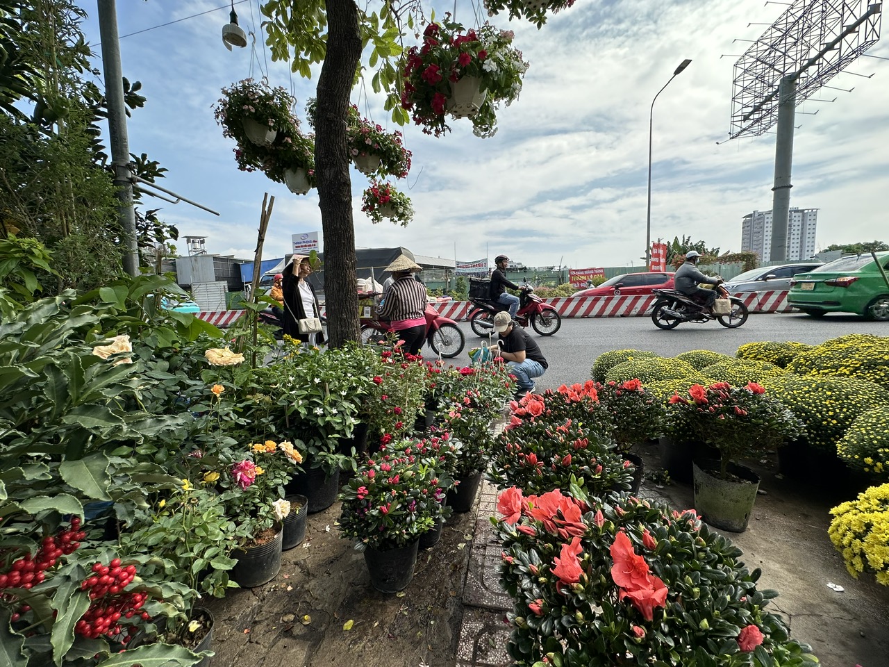 Bất ngờ giá hoa cúc mâm xôi giảm mạnh, vì sao? - Ảnh 4.