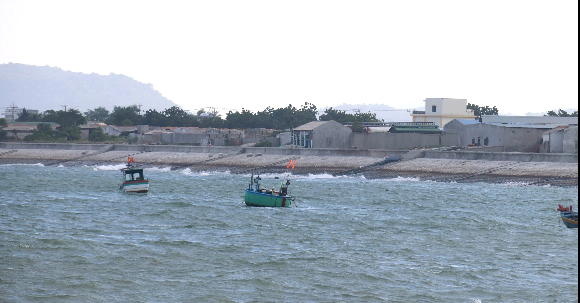 Dừng dự án 'tôm Bình Thuận' người nuôi tôm ảnh hưởng không ?- Ảnh 1. Dừng dự án 'tôm Bình Thuận' người nuôi tôm ảnh hưởng không ?- Ảnh 1.