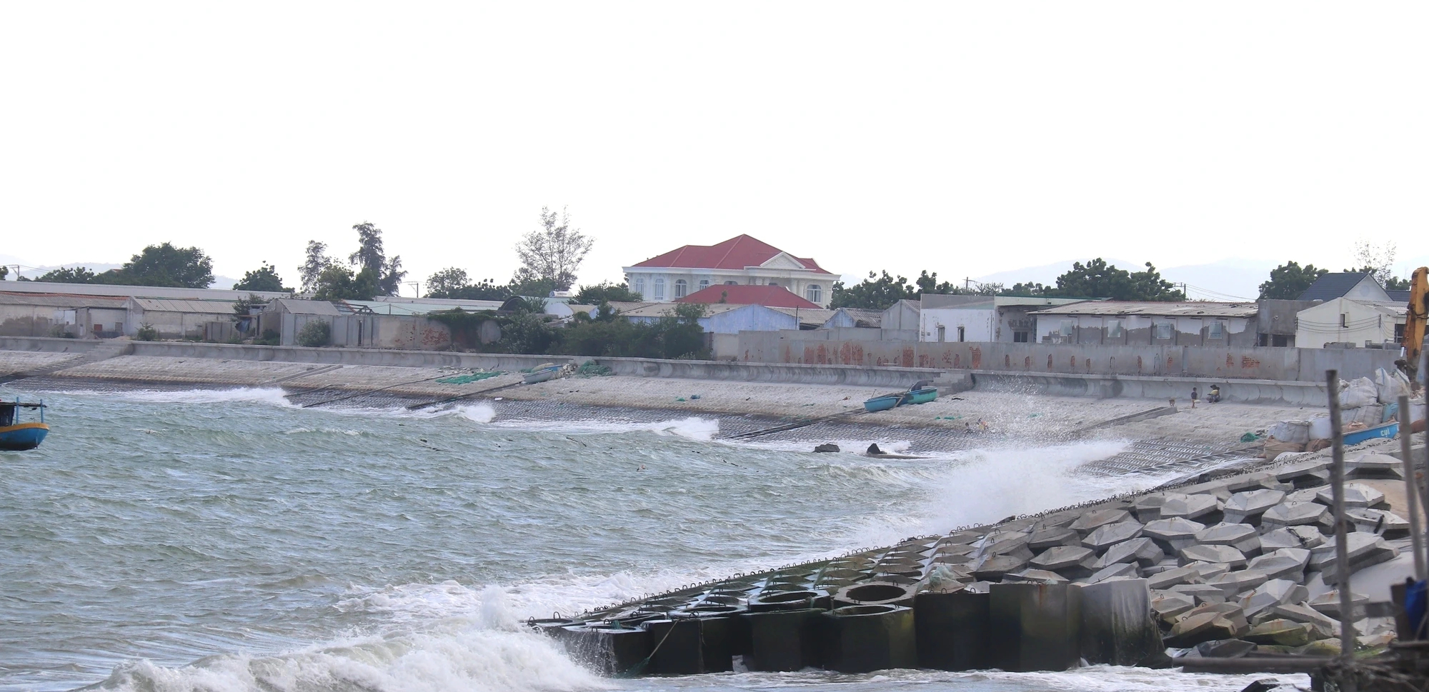 Dừng dự án 'tôm Bình Thuận' người nuôi tôm ảnh hưởng không ?- Ảnh 3. Dừng dự án 'tôm Bình Thuận' người nuôi tôm ảnh hưởng không ?- Ảnh 3.