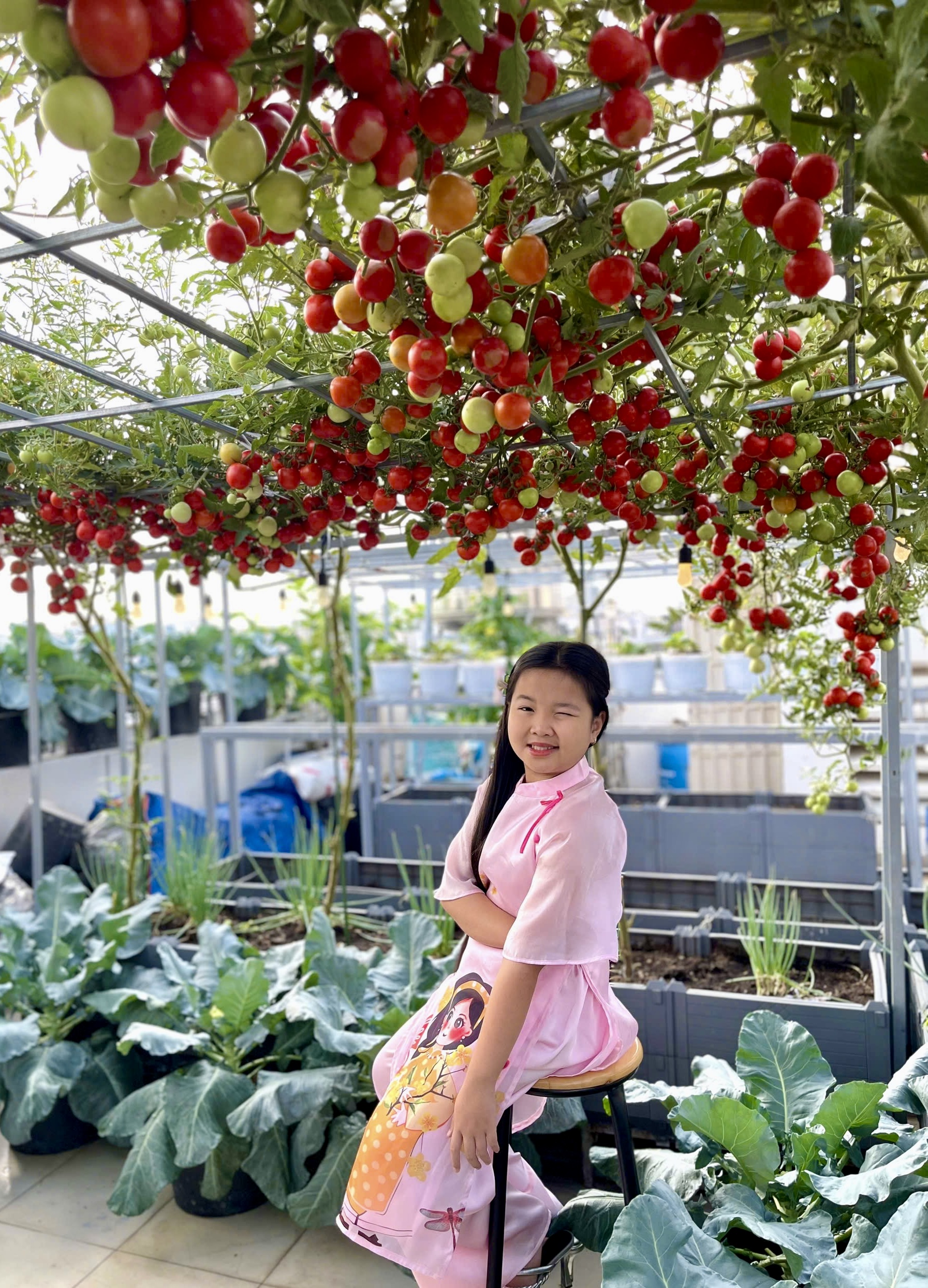 Sốc với gi&aacute; hạt giống c&agrave; chua bạch tuộc, th&agrave;nh quả đ&aacute;ng đồng tiền  - Ảnh 9.