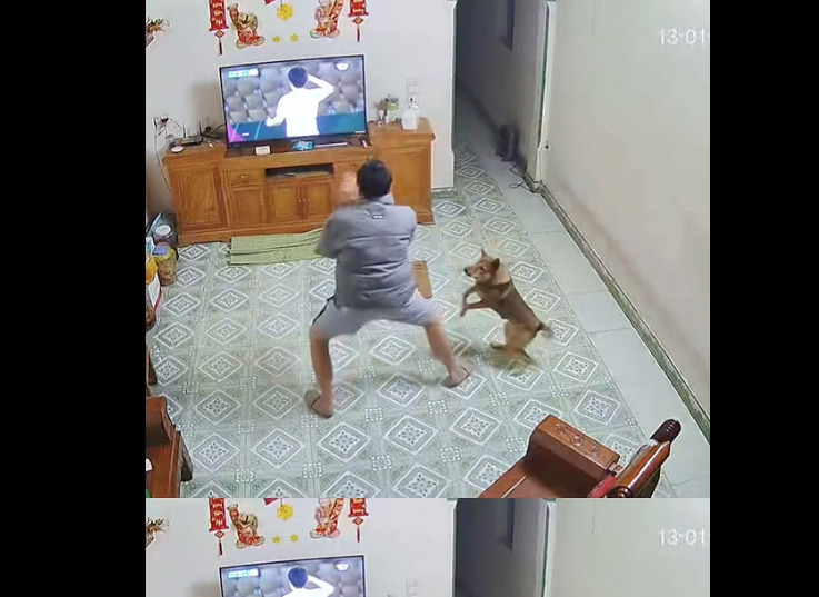 Chú chó 'chiếm sóng' khi nhảy cẫng cùng chủ ăn mừng bàn thắng của Đình Bắc - Ảnh 1.