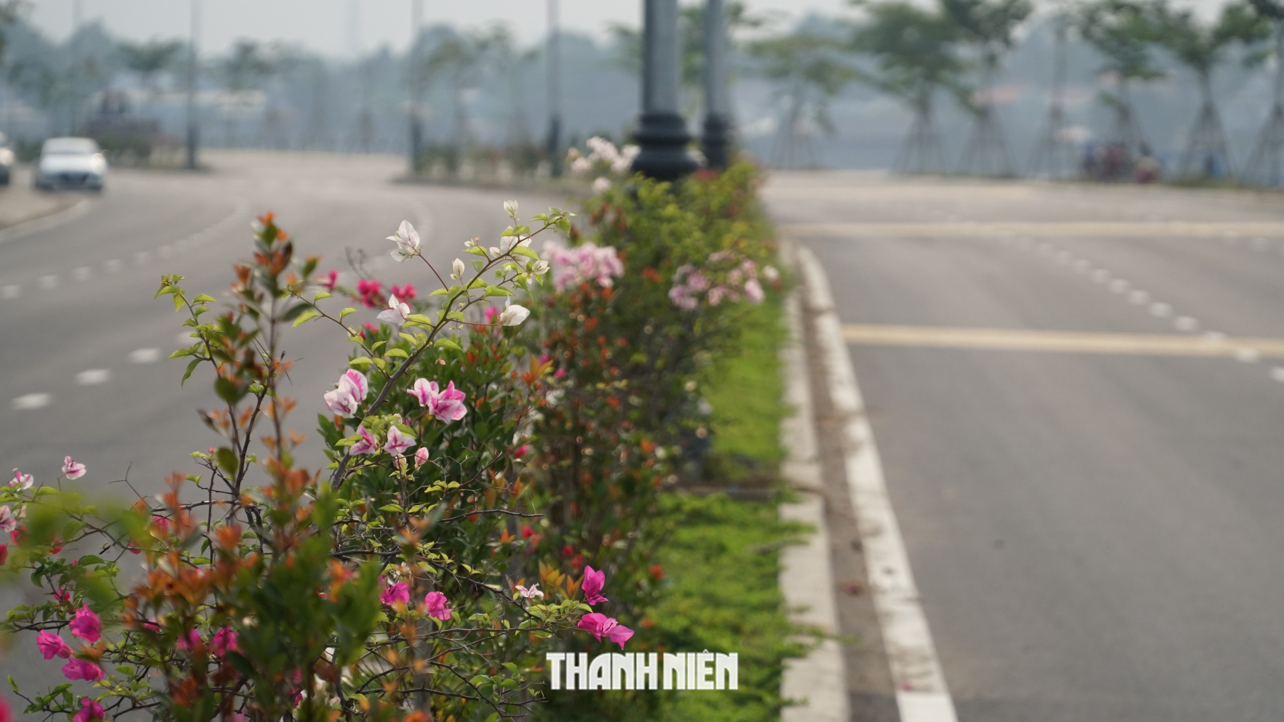 Đường ven sông Đồng Nai thông xe kỹ thuật, biệt thự 100 tuổi còn nguyên- Ảnh 9. Đường ven sông Đồng Nai thông xe kỹ thuật, biệt thự 100 tuổi còn nguyên- Ảnh 9.