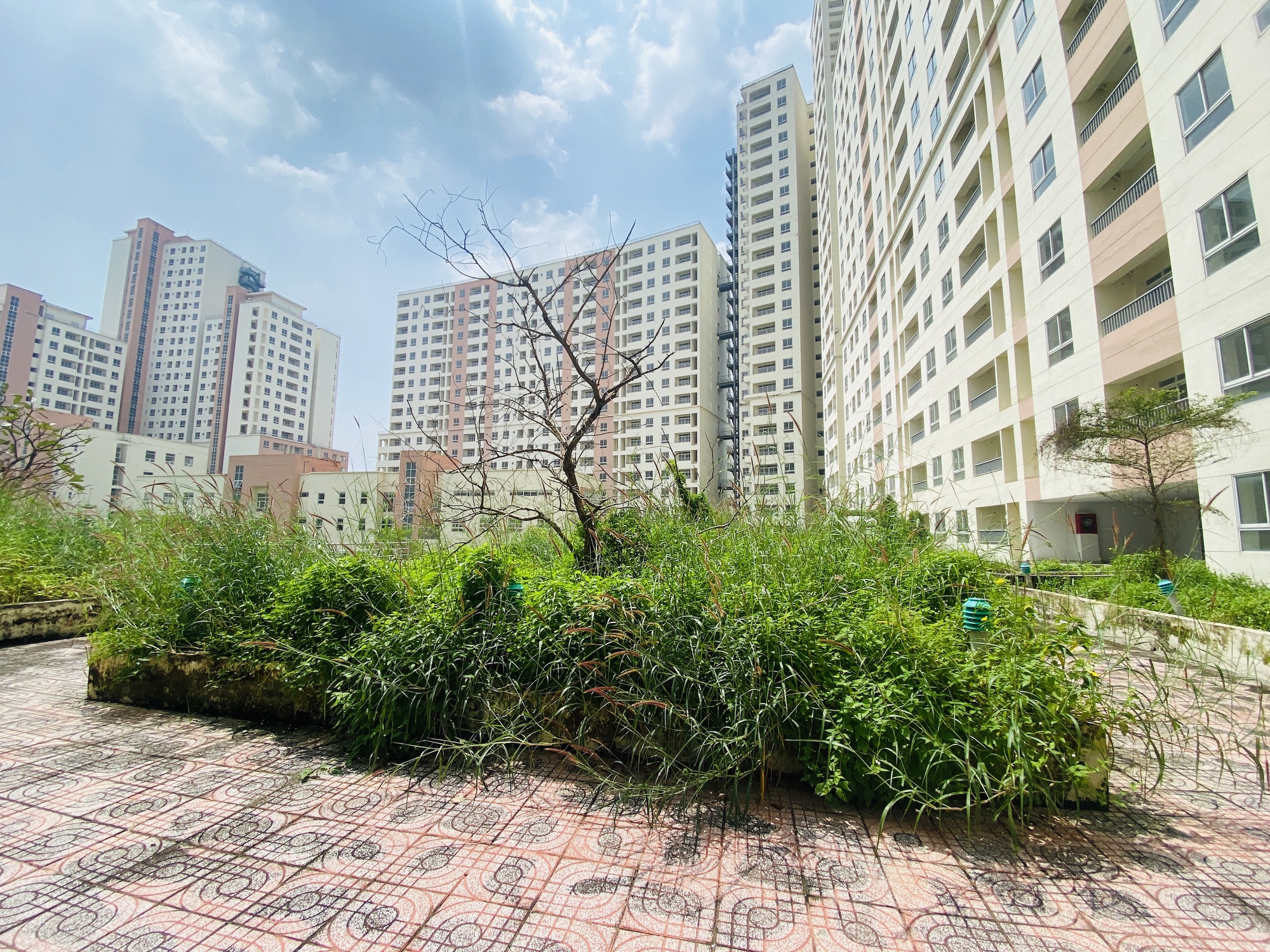 TP.HCM thu ngân sách 'khủng' từ đất   - Ảnh 1.