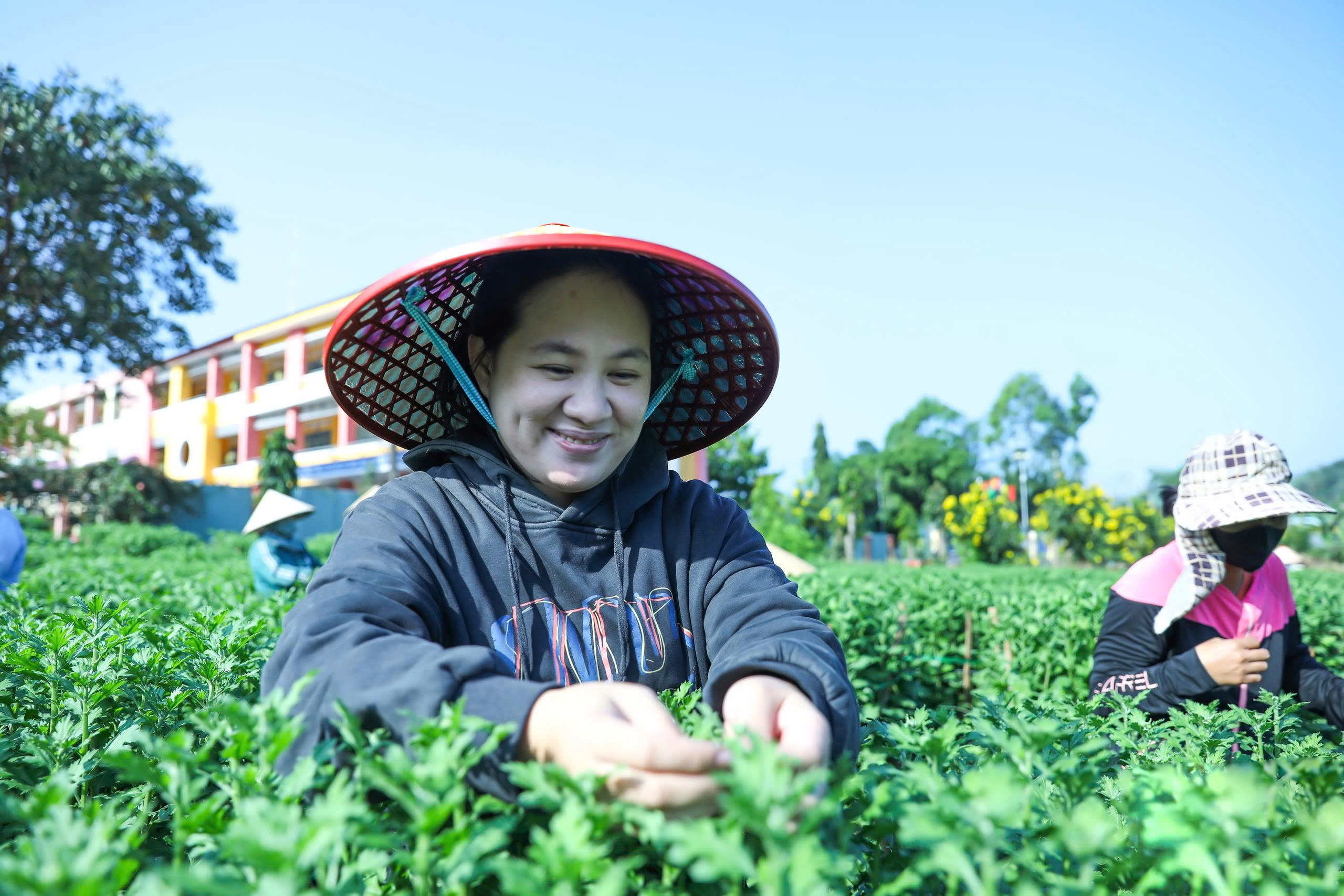 Làng hoa Gia Kiệm rộn ràng vụ tết: 3 thế hệ chăm hoa đón xuân - Ảnh 3.