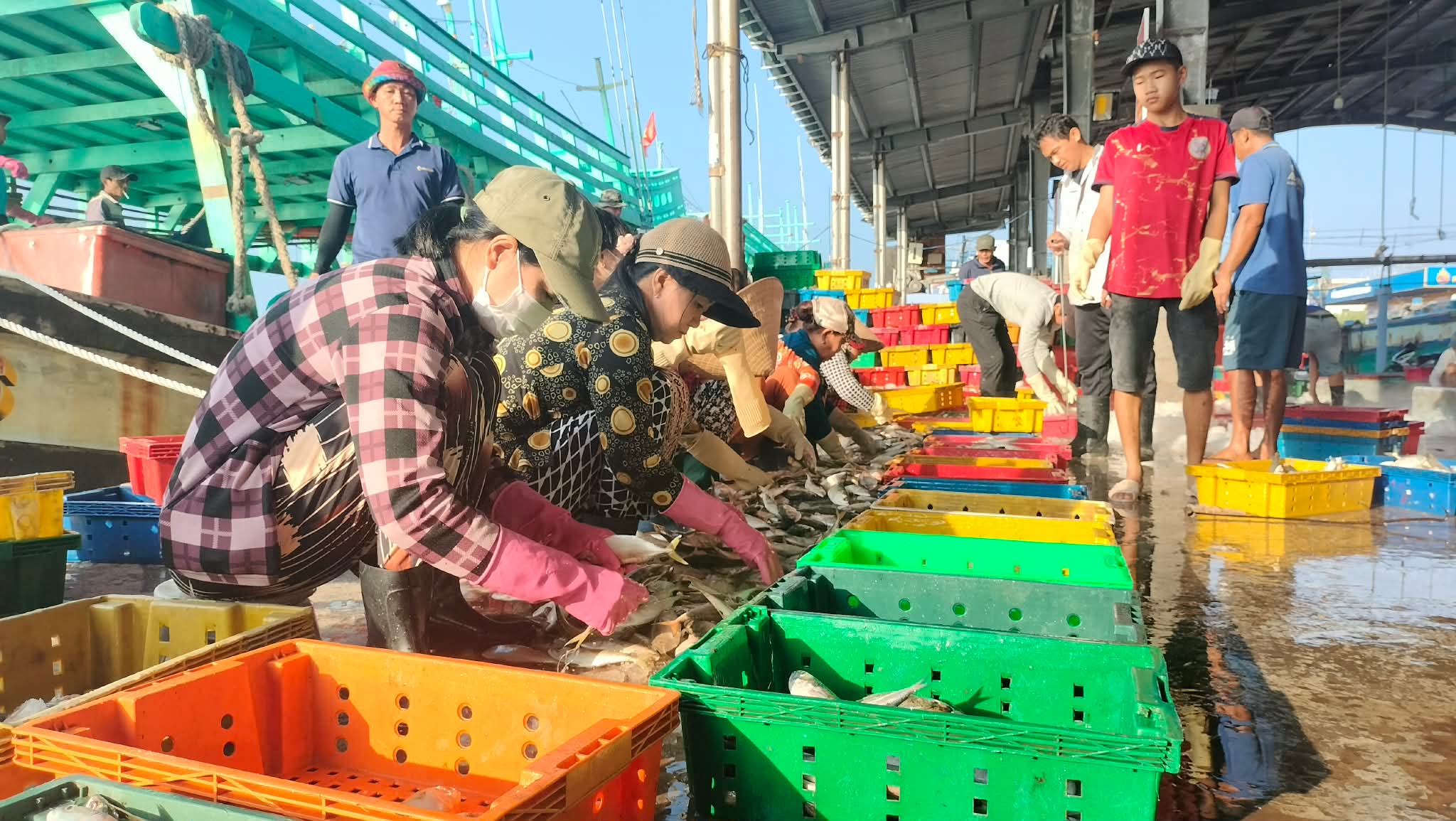 Cá ba thú trúng mùa, tàu cá Sông Đốc lãi trăm triệu chuyến biển cuối năm liên- Ảnh 3.