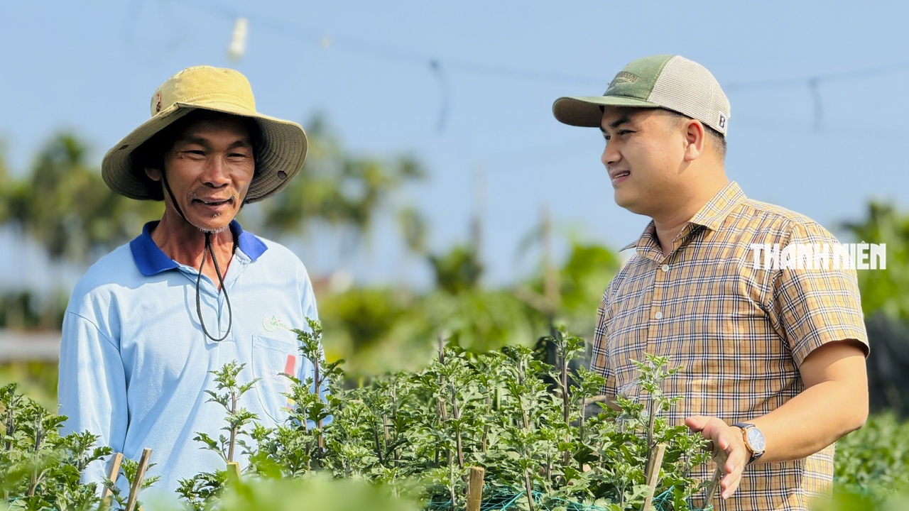 Làng hoa cúc lớn nhất miền Trung: Cúc lạ 'cháy hàng'- Ảnh 2.