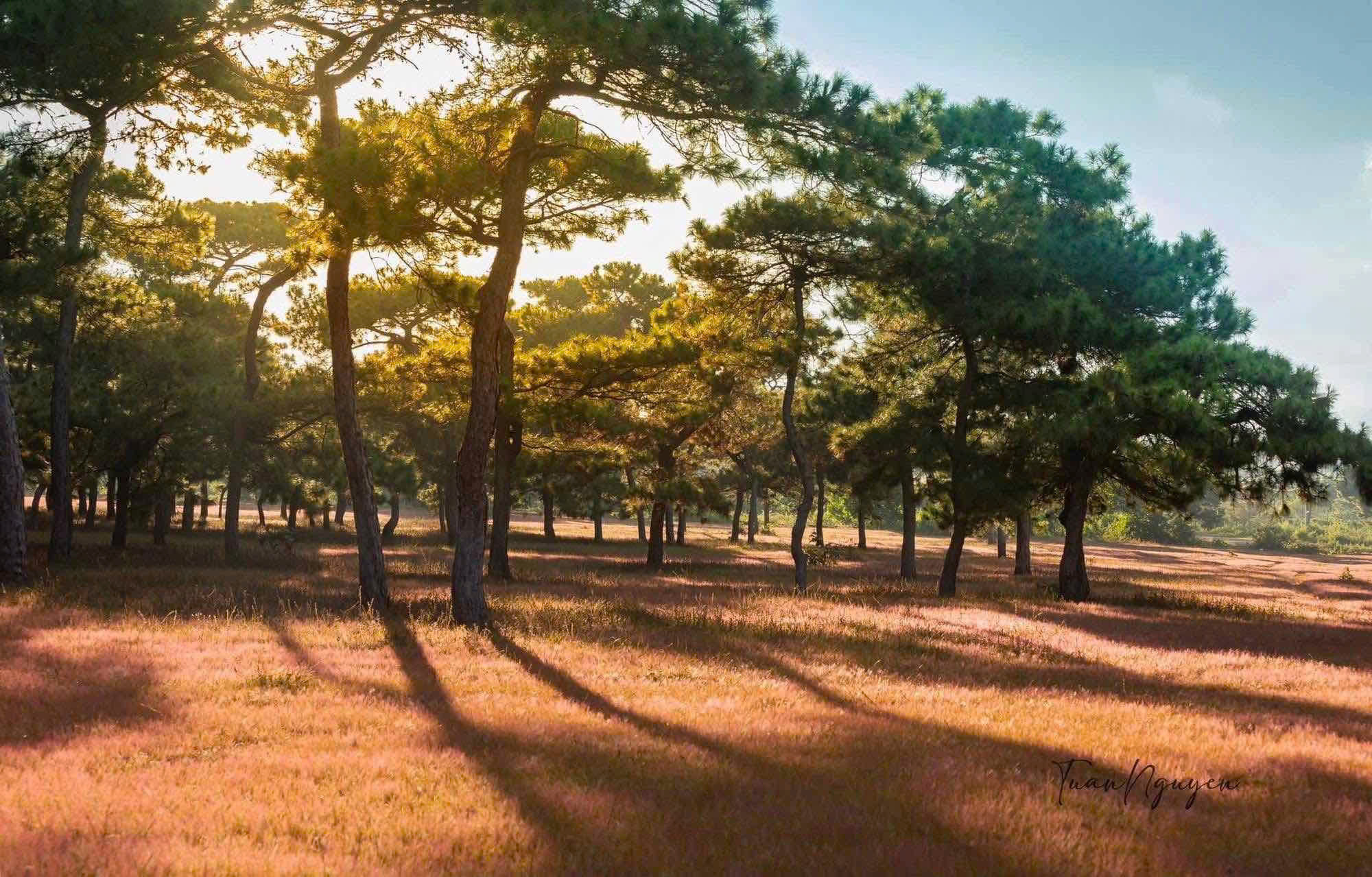 Gia Lai chấp thuận dự án sân golf Đăk Đoa hơn 1.150 tỉ đồng- Ảnh 1.