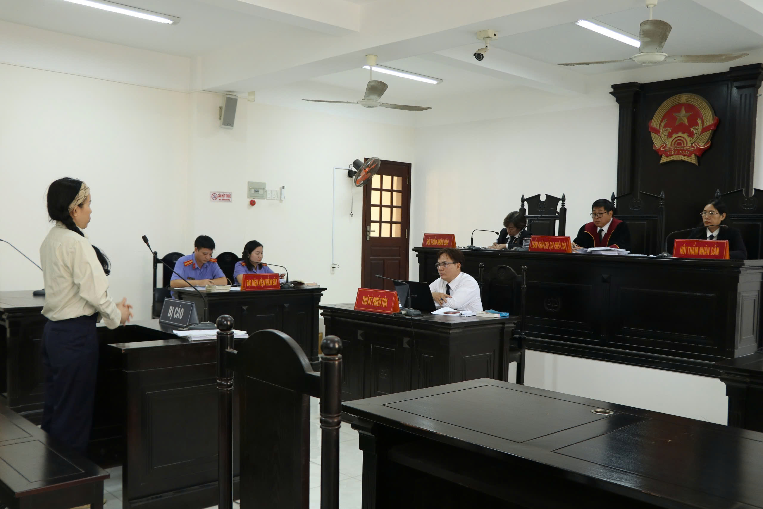 Xét xử Đinh Thị Lan xúc phạm vợ chồng bà Nguyễn Phương Hằng - Ảnh 1.