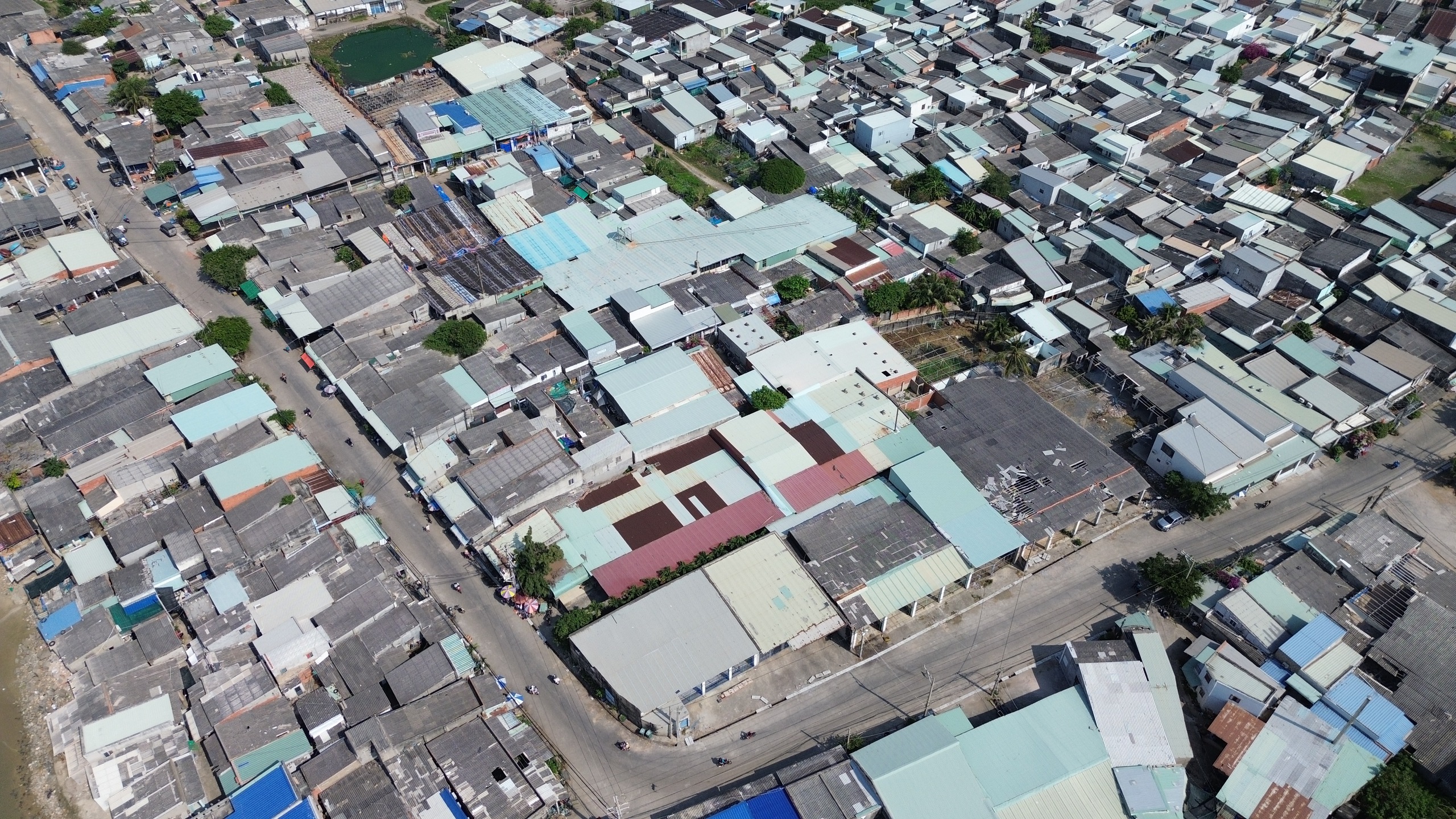 TP.HCM: Xóa xổ điểm đen ô nhiễm ao Hải Hà, xã Long Hải  - Ảnh 1.