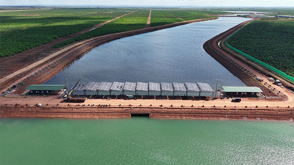 Kinh ngạc với hệ sinh thái nông nghiệp của tỉ phú Trần Bá Dương- Ảnh 4.