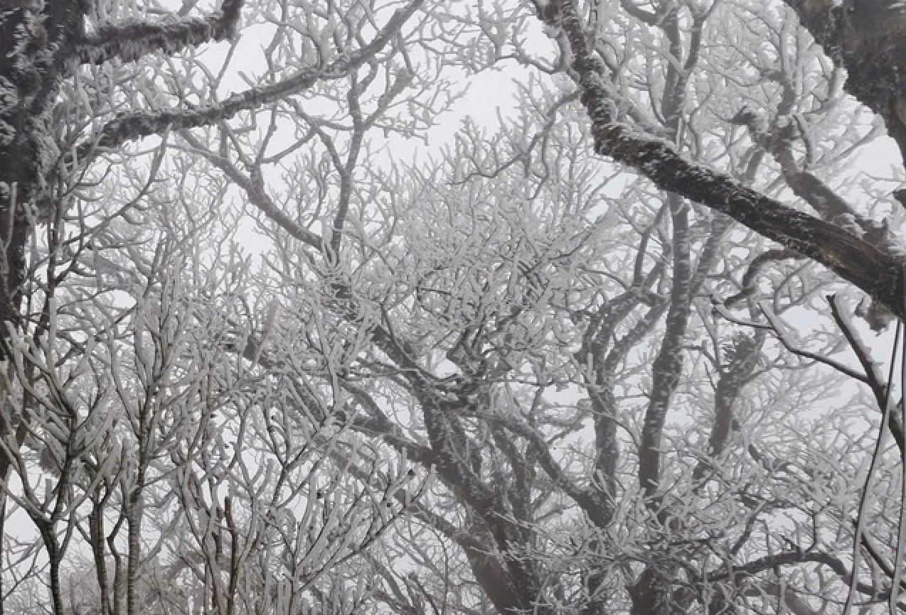 Vì sao 2025 là một trong 3 năm nóng nhất lịch sử dù có La Nina?- Ảnh 2.