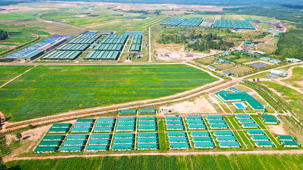 Kinh ngạc với hệ sinh thái nông nghiệp của tỉ phú Trần Bá Dương- Ảnh 1.