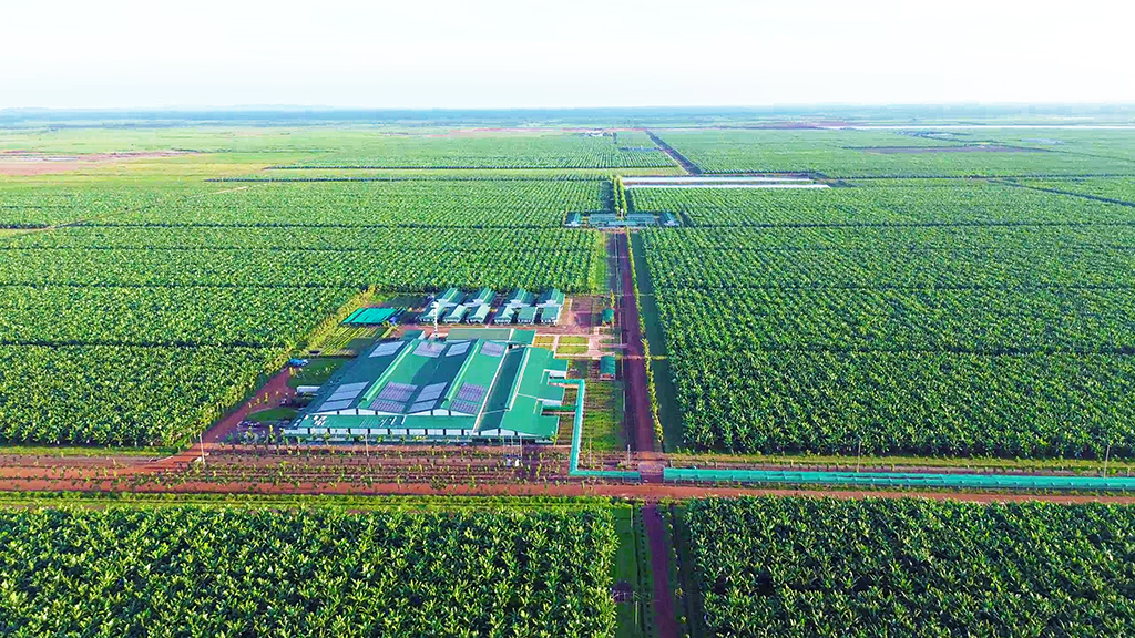 Kinh ngạc với hệ sinh thái nông nghiệp của tỉ phú Trần Bá Dương- Ảnh 3.