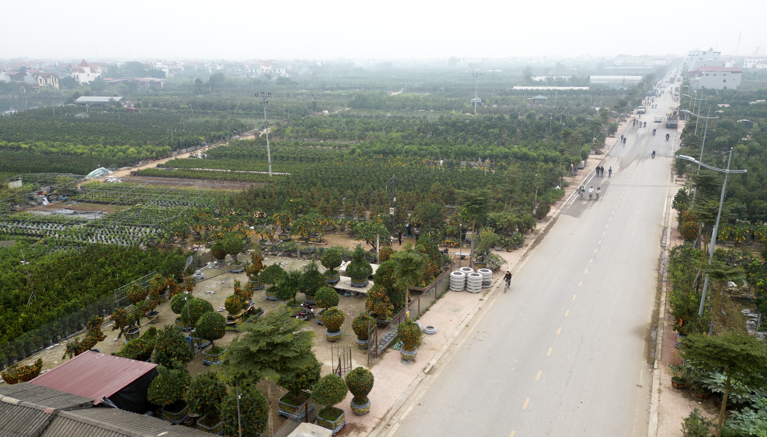 Qu&yacute;t h&igrave;nh ngựa gi&aacute; h&agrave;ng chục triệu ở Hưng Y&ecirc;n 'ch&aacute;y h&agrave;ng' trước tết Nguy&ecirc;n đ&aacute;n - Ảnh 1.