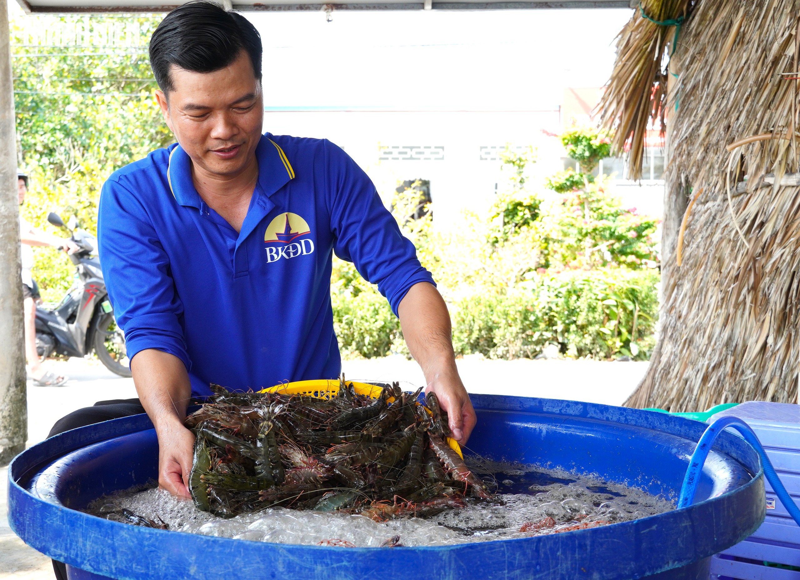 T&ocirc;m s&uacute; kh&ocirc; nguy&ecirc;n vỏ C&agrave; Mau 'ch&aacute;y h&agrave;ng' dịp tết, gi&aacute; 1,5 triệu/kg vẫn h&uacute;t kh&aacute;ch - Ảnh 2.